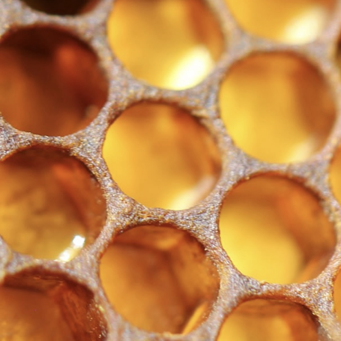 Liquid Gold