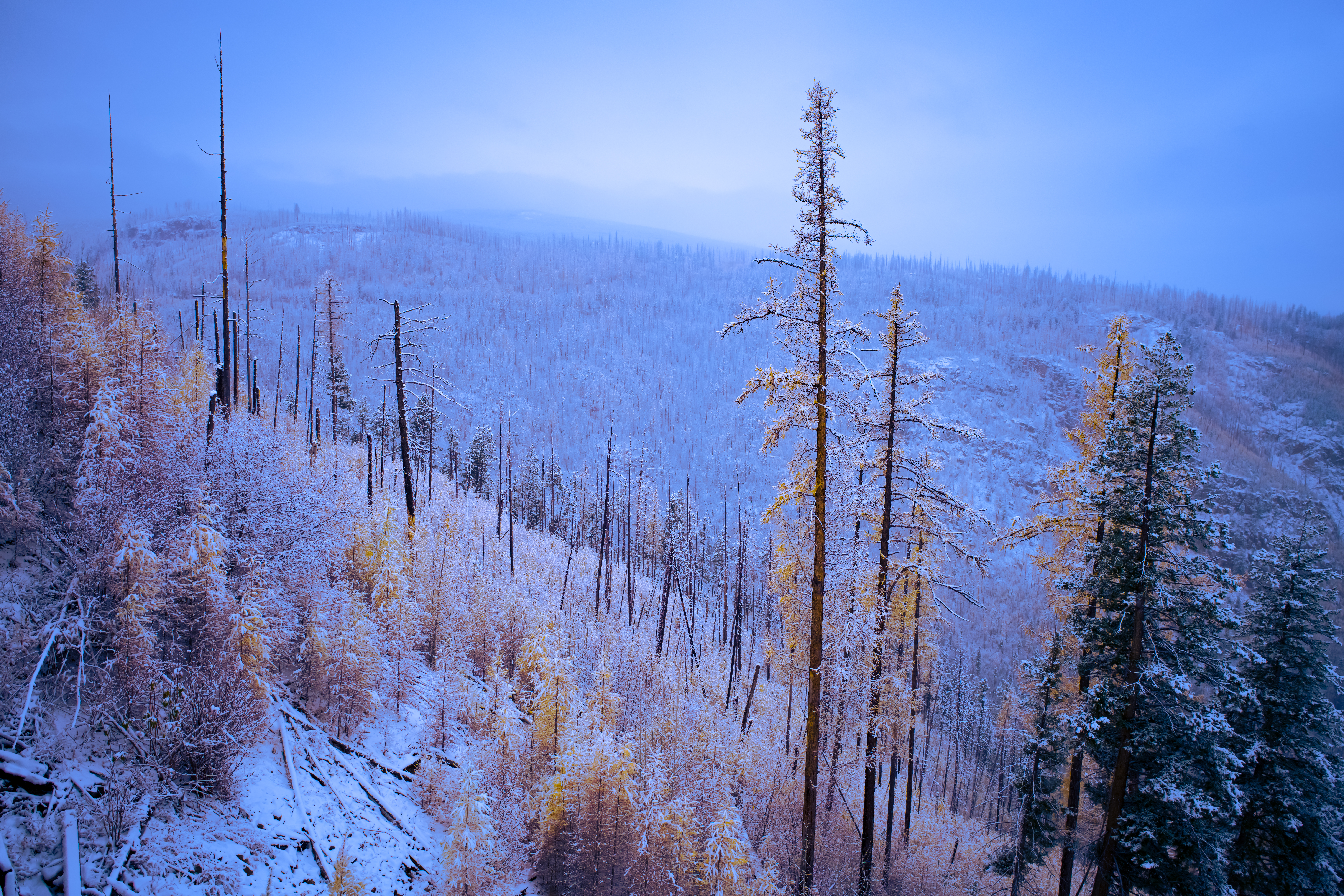 the first snow