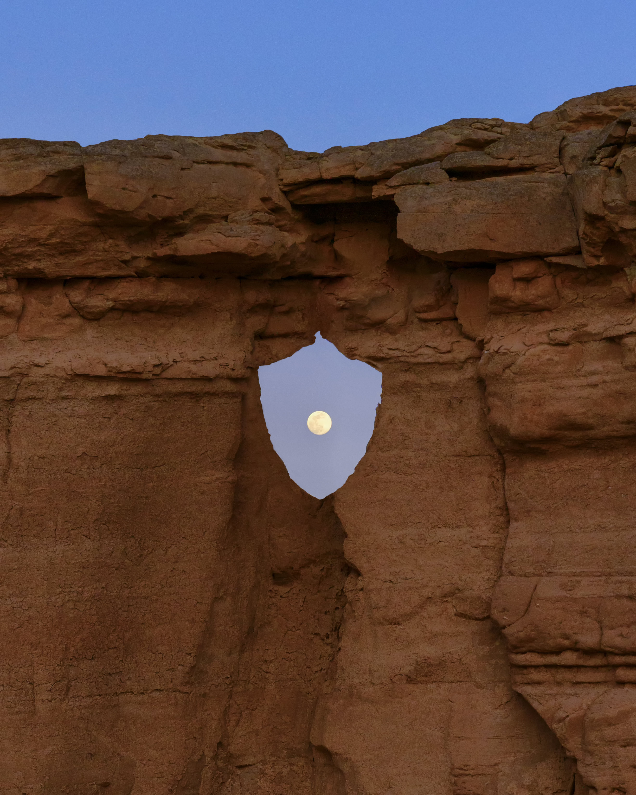 Nature Stands with Crypto #29173