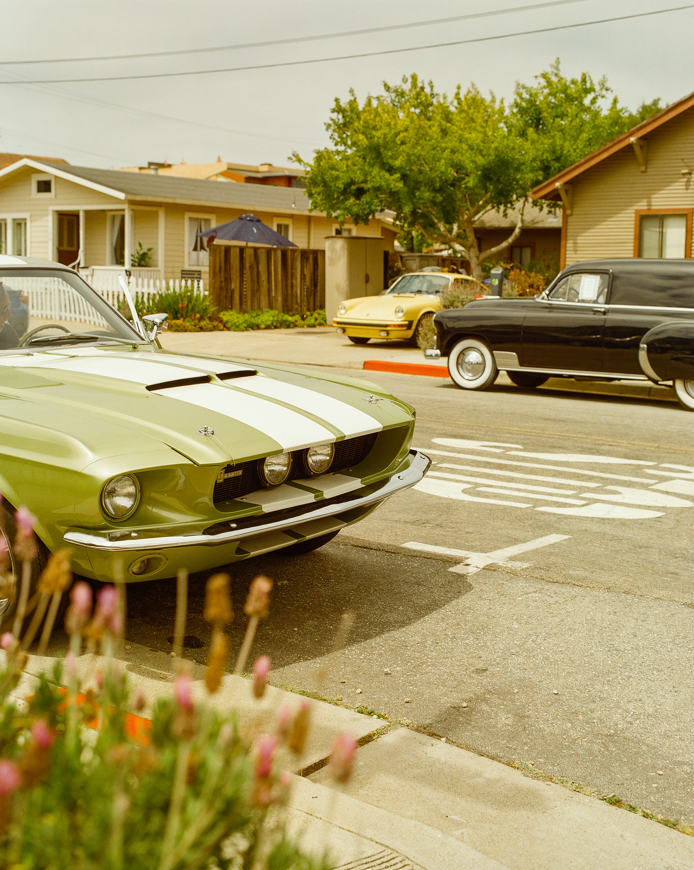 Neighborhood Classics