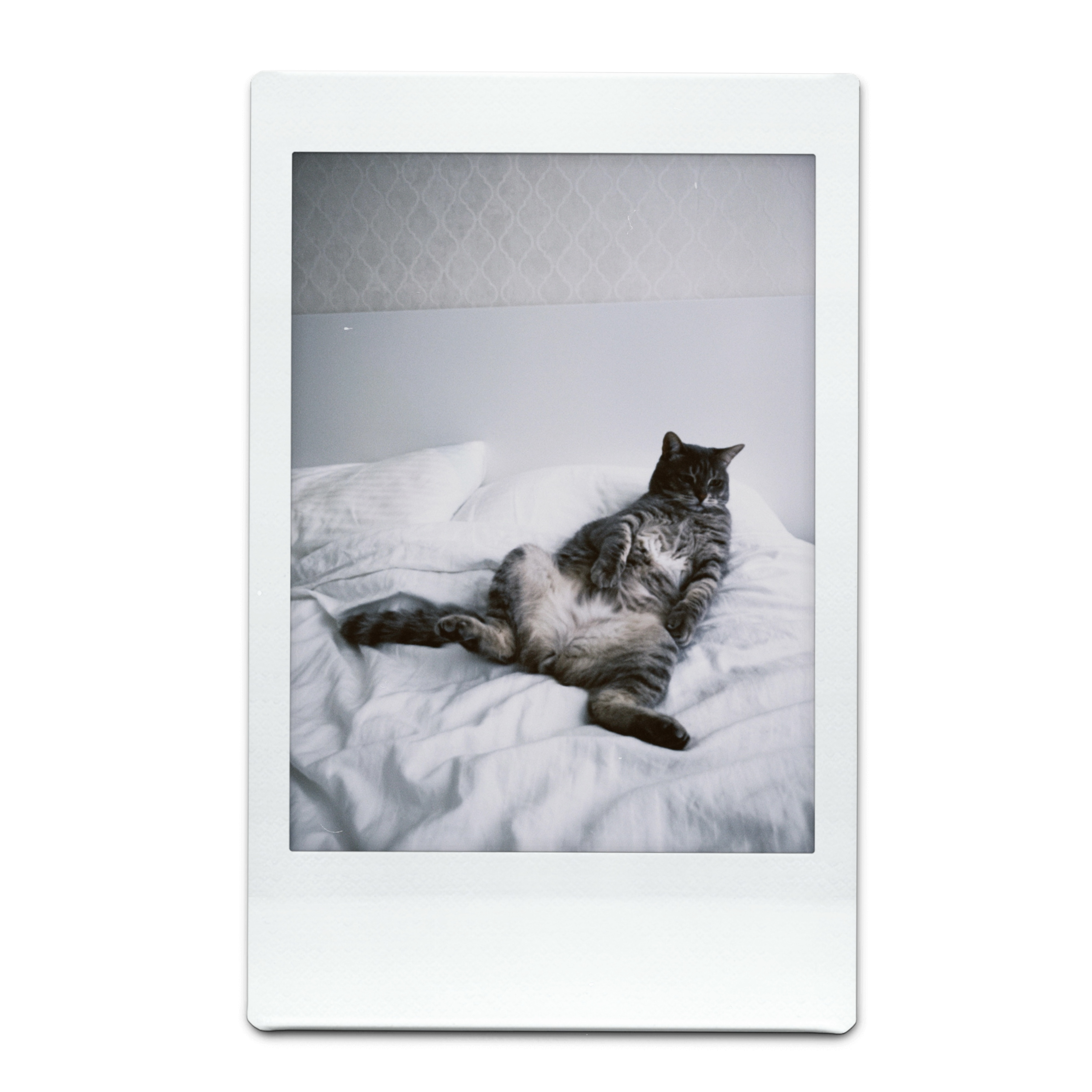 comfy