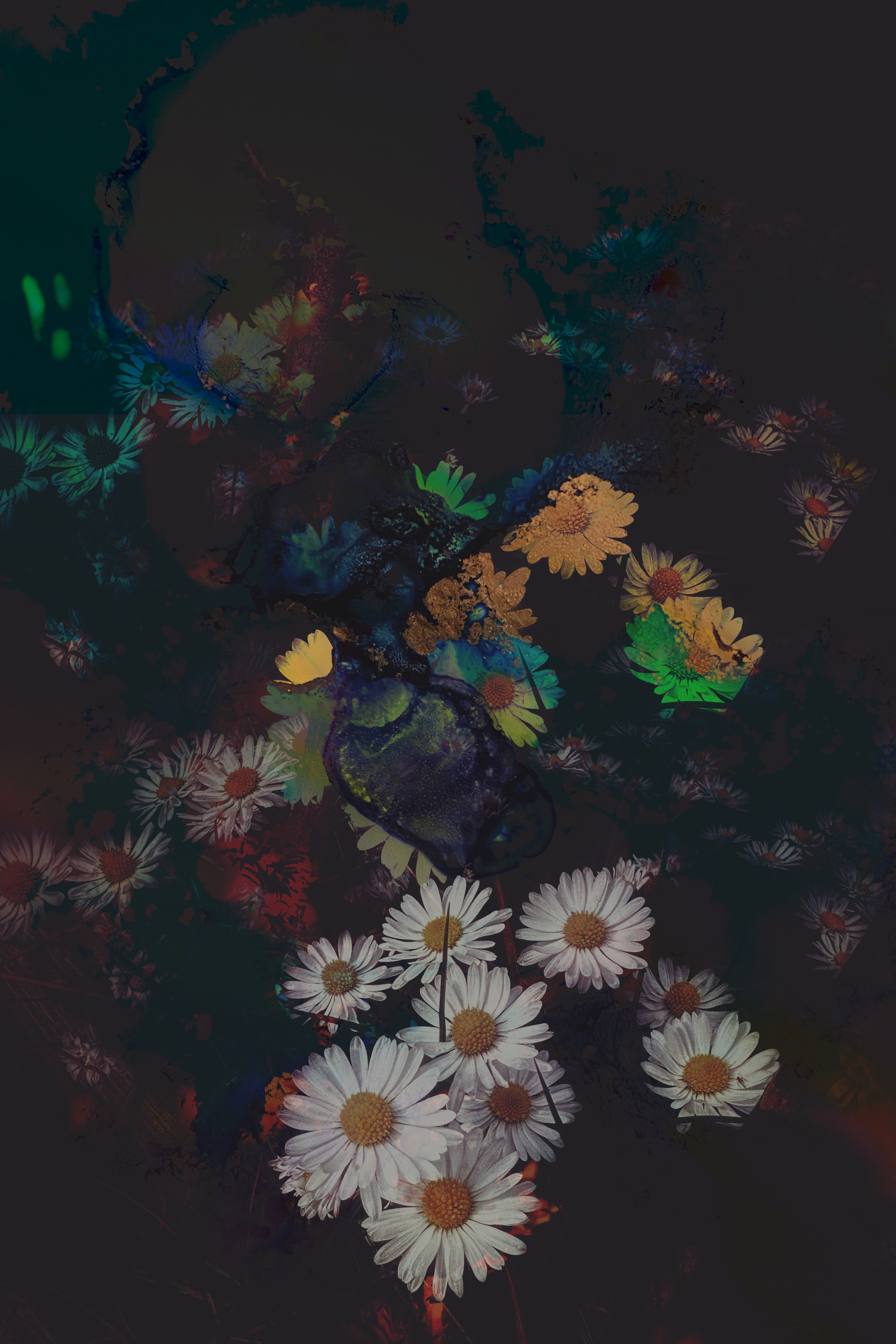Jewels in the Grass