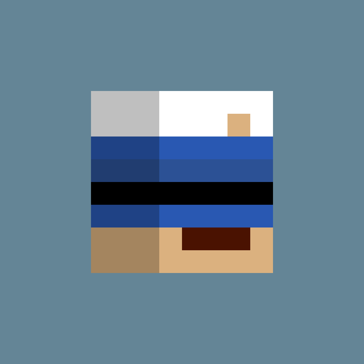 PunkBlock #2273