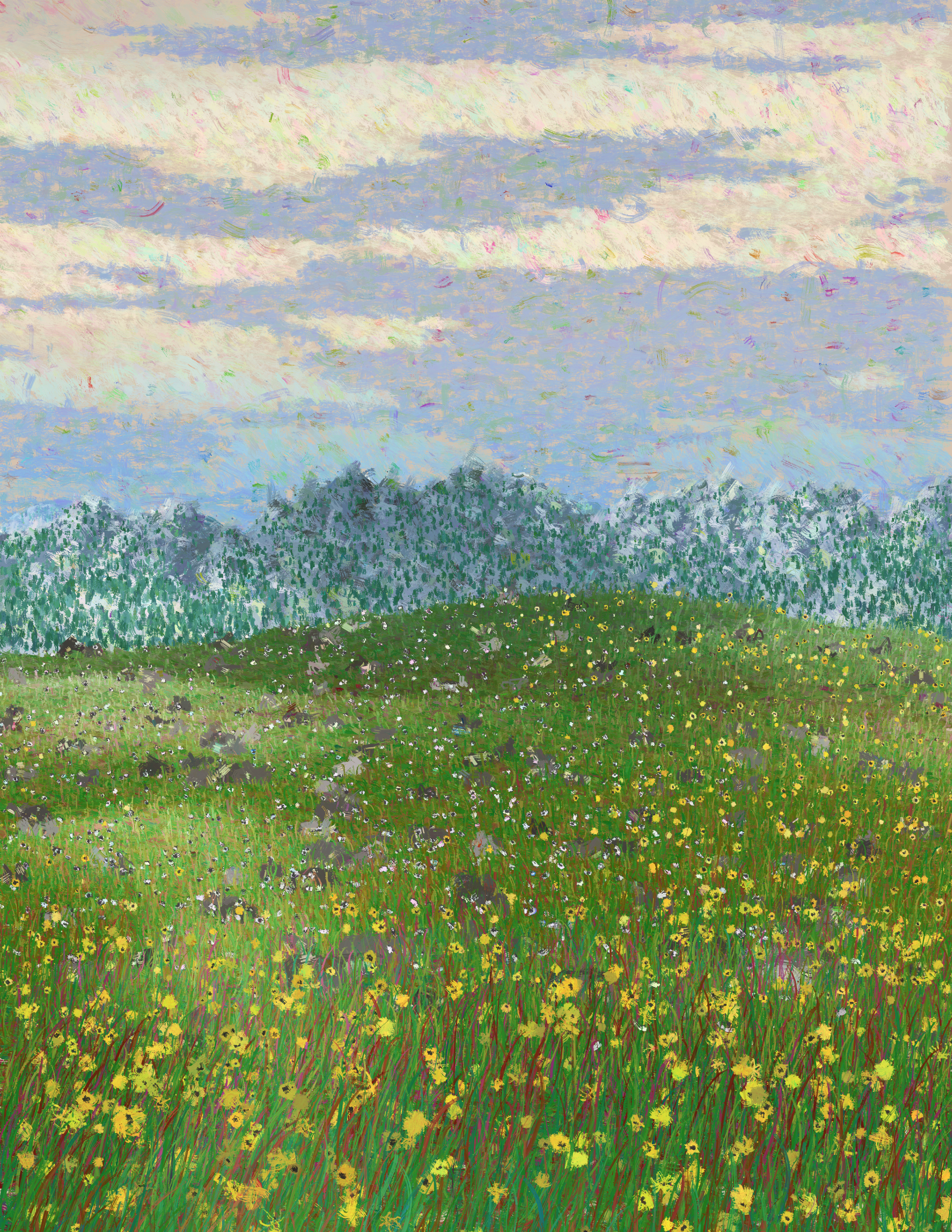 Yellow Flower Field