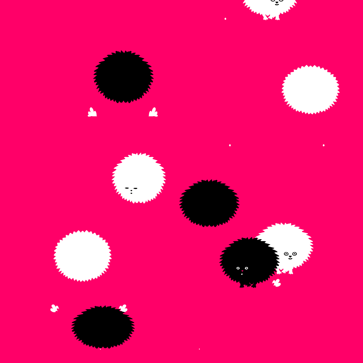 Infestation