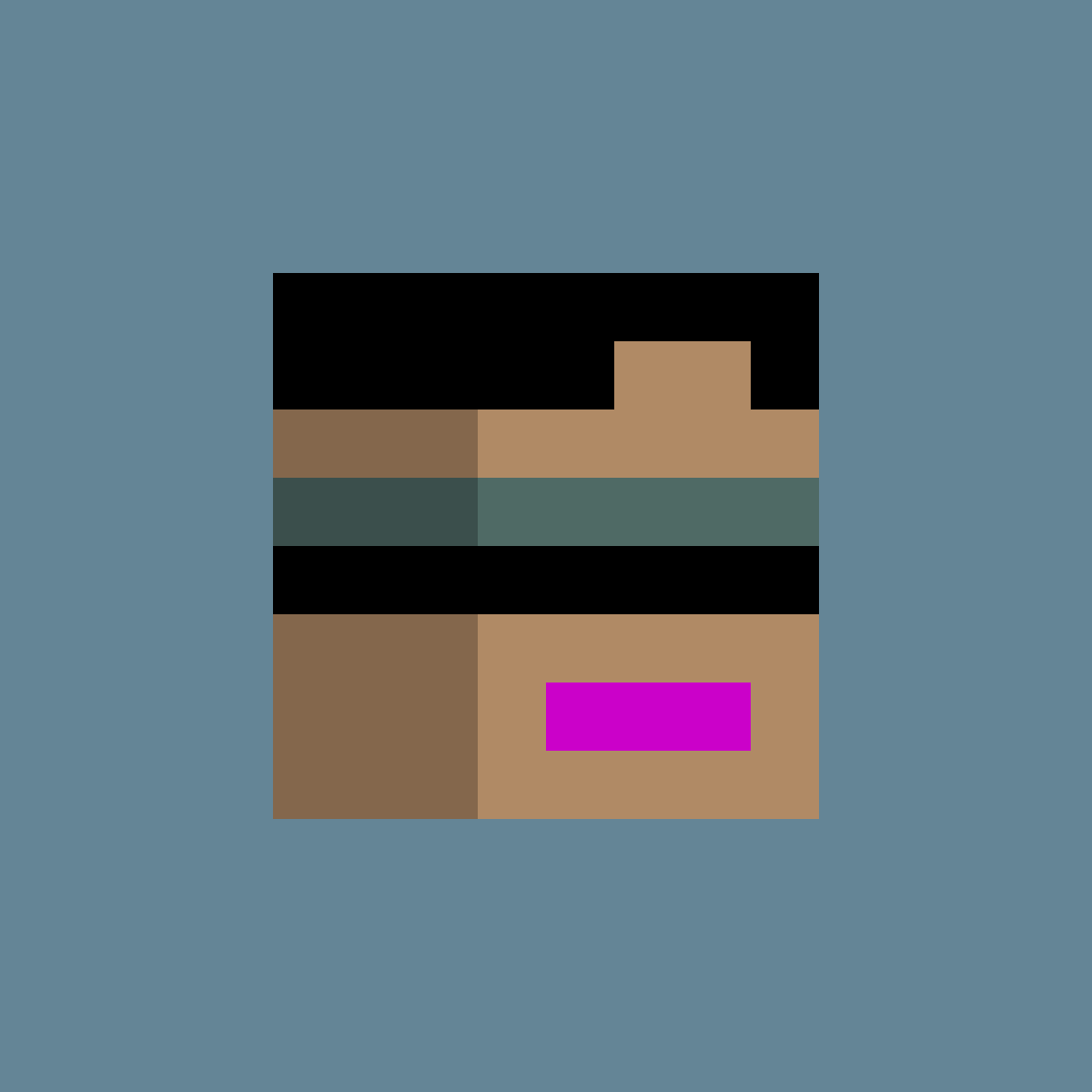 PunkBlock #2442