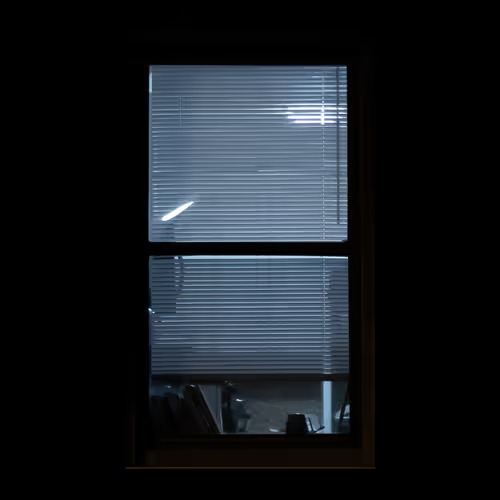 WINDOW #21