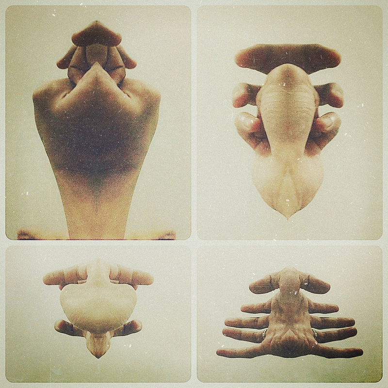 Creatures #02
