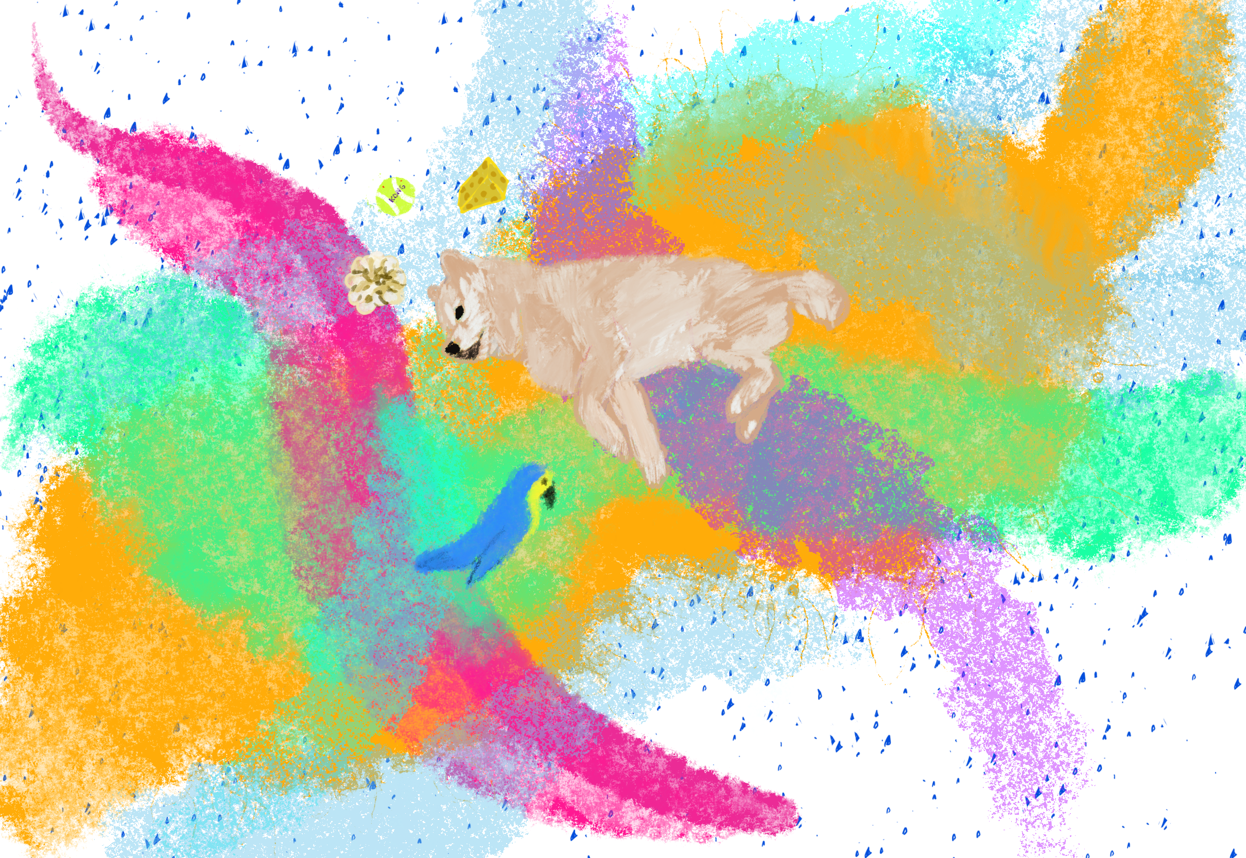 Dream state