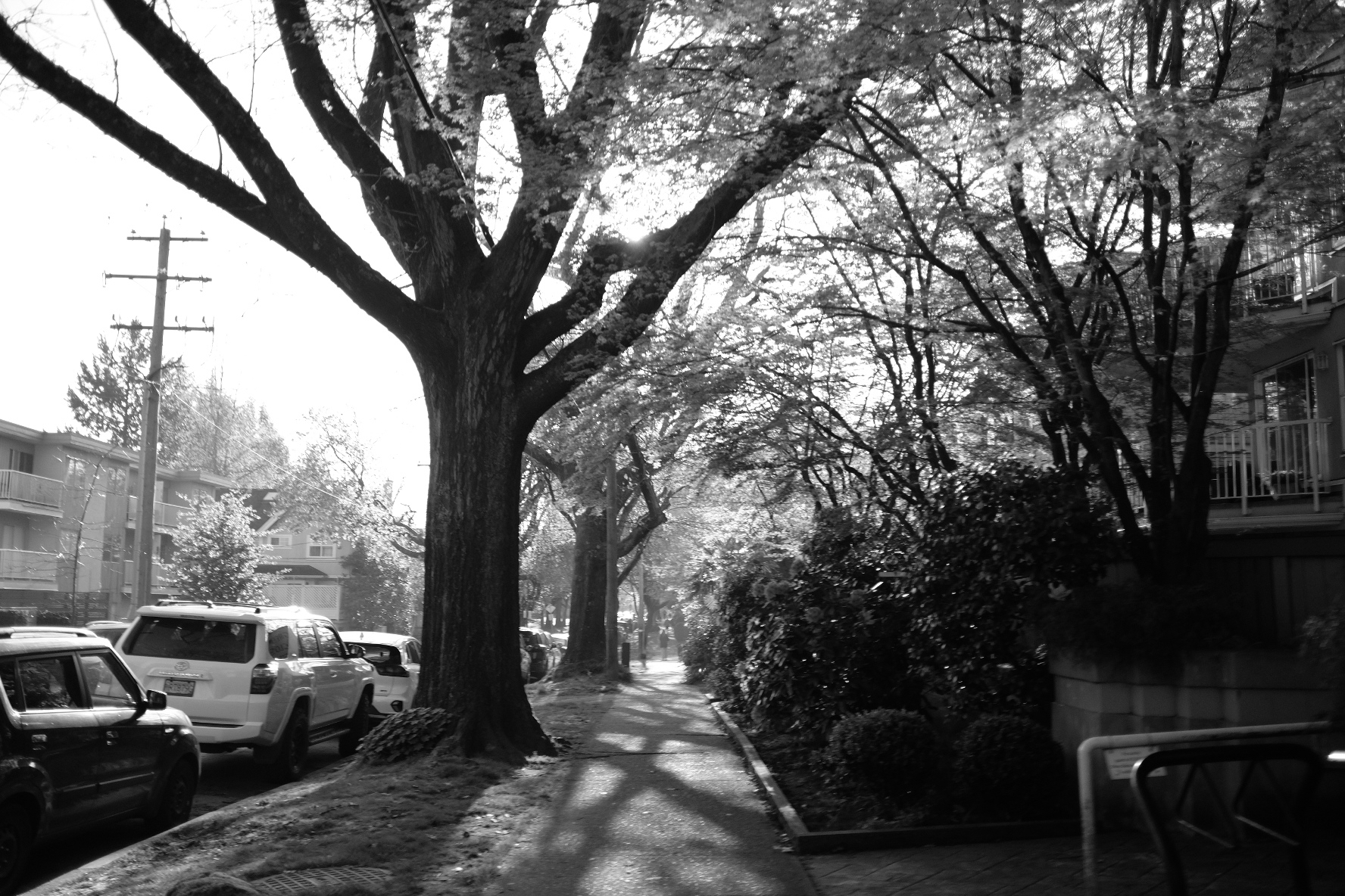 Smoky Morning