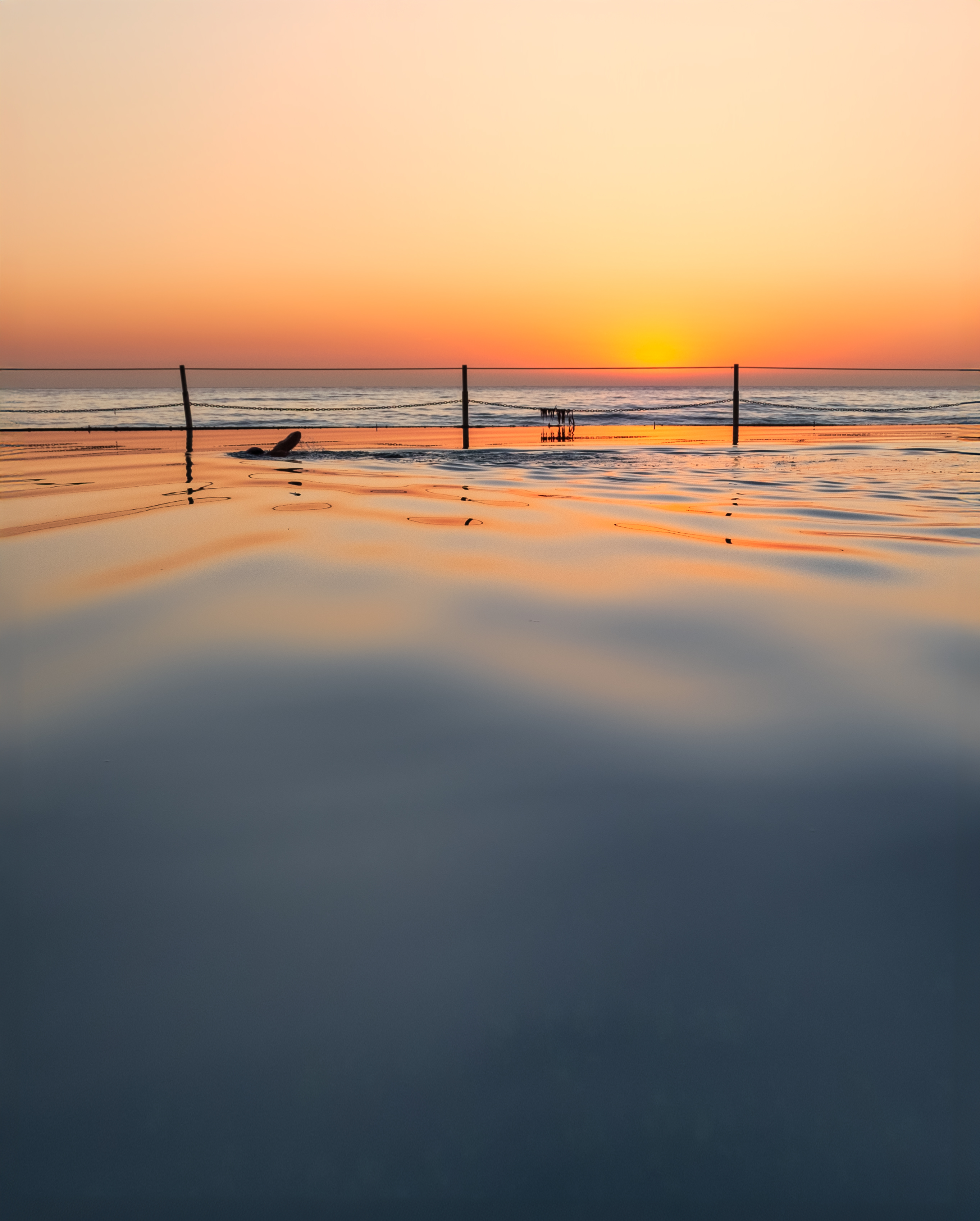 Dawn Swim
