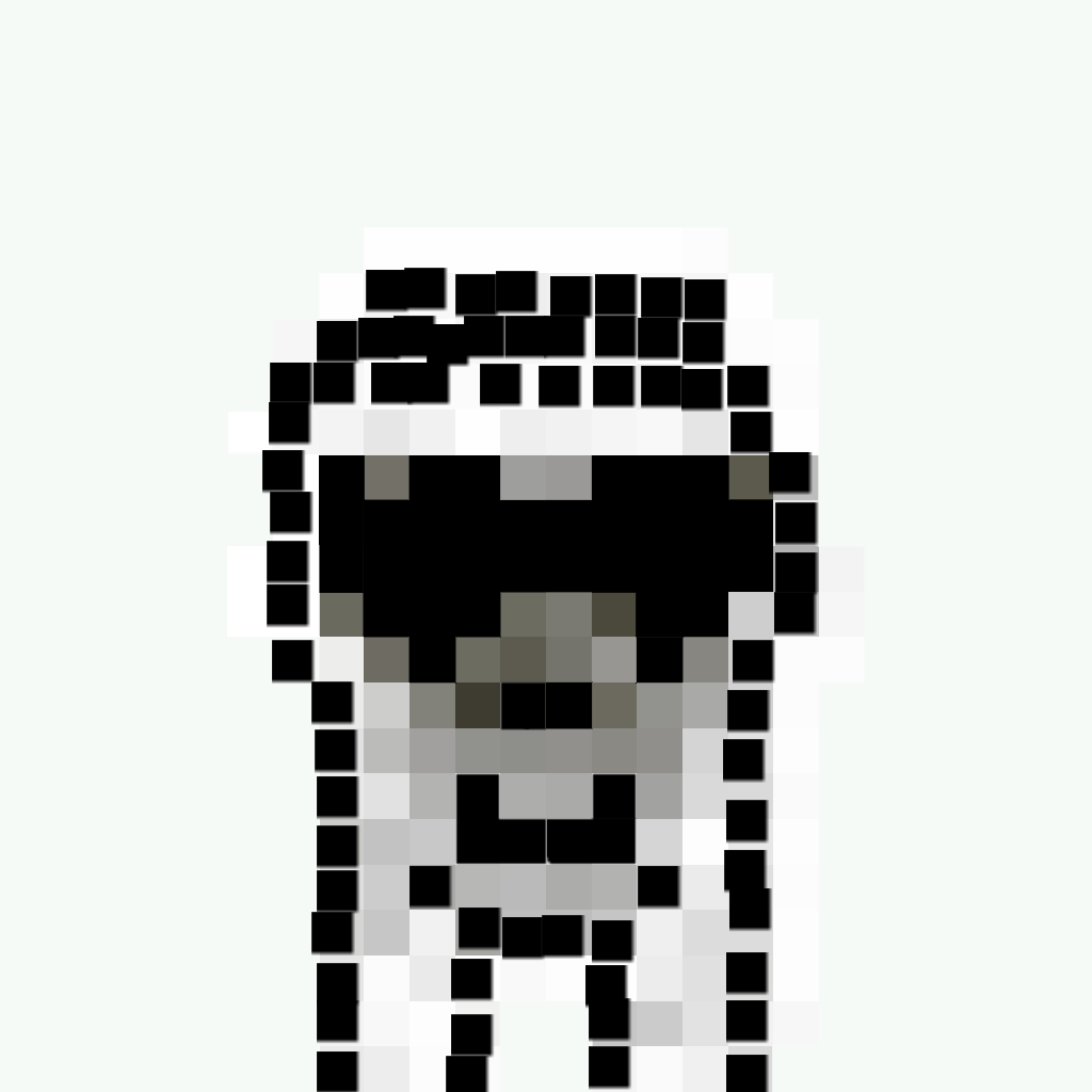 early template of the XRAYBGAN project