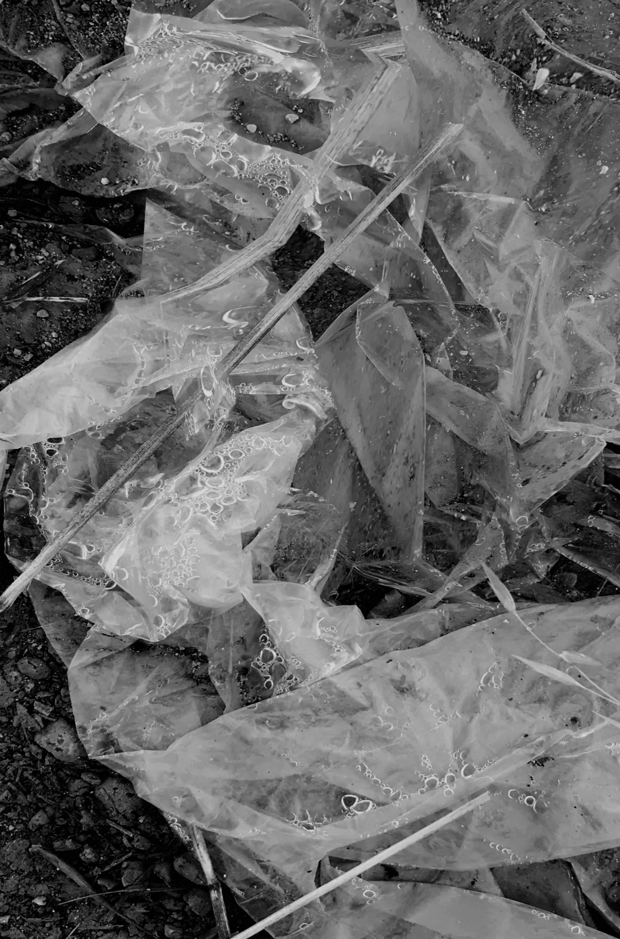 object/20
