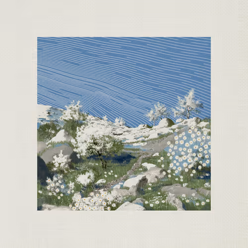 Coast #4
