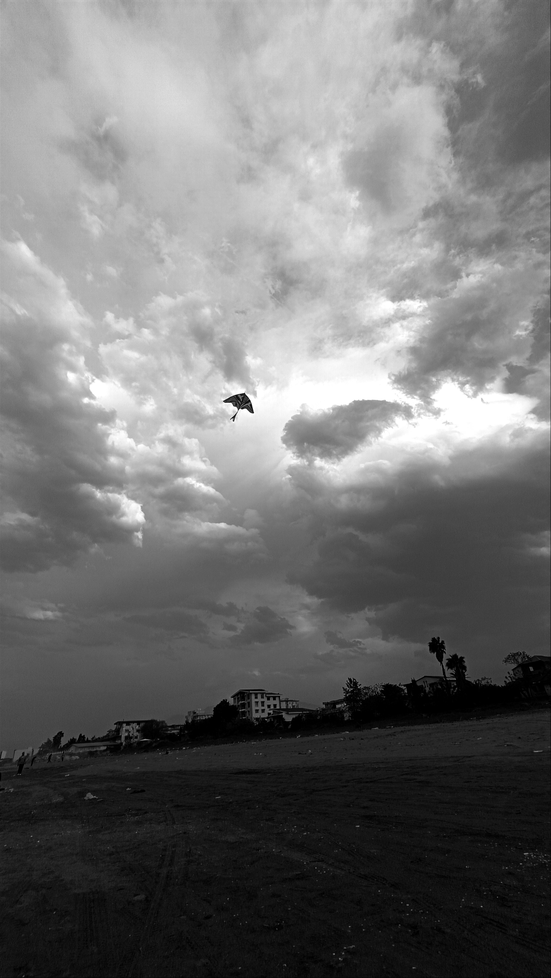 Freedom #31