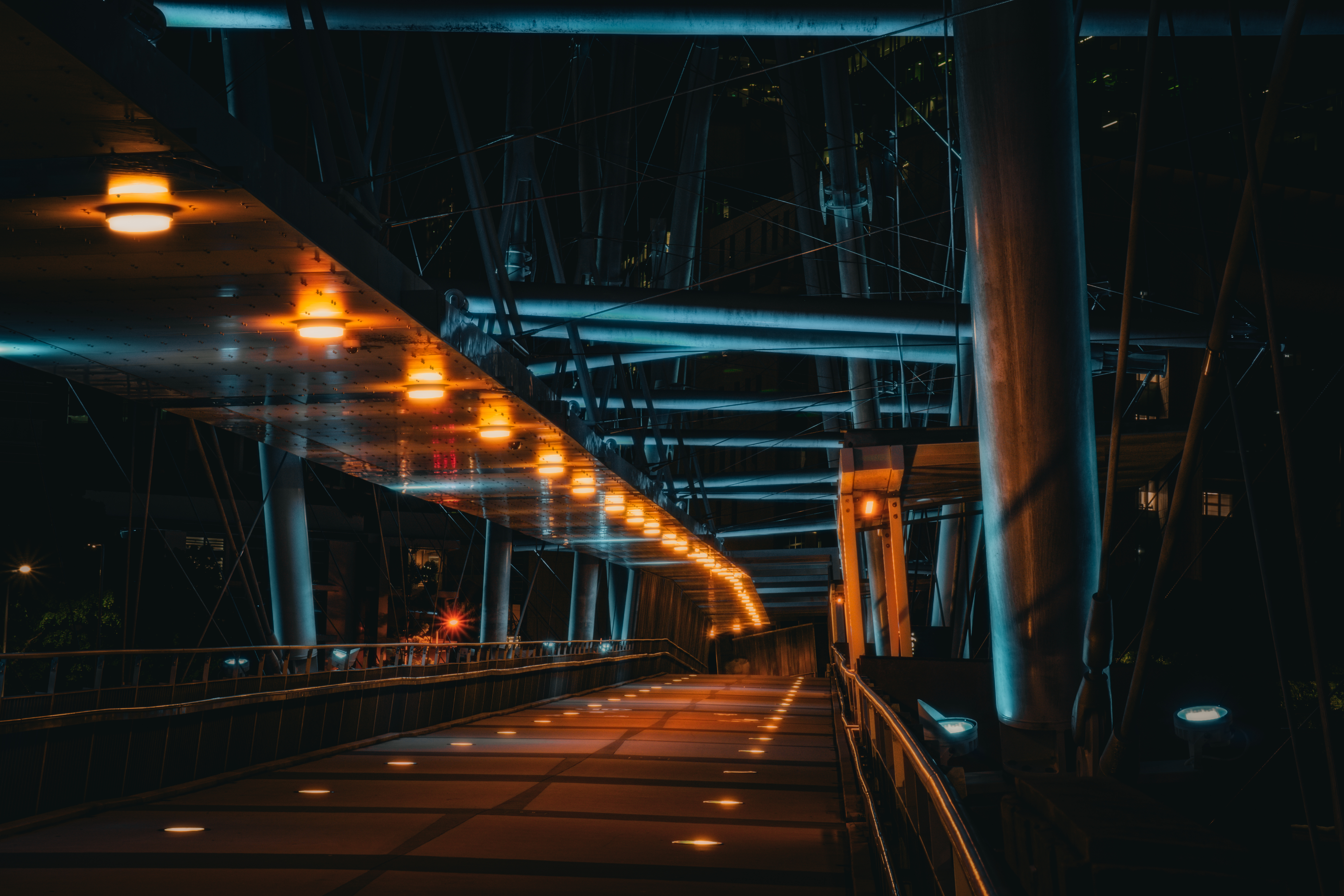 Late night walks