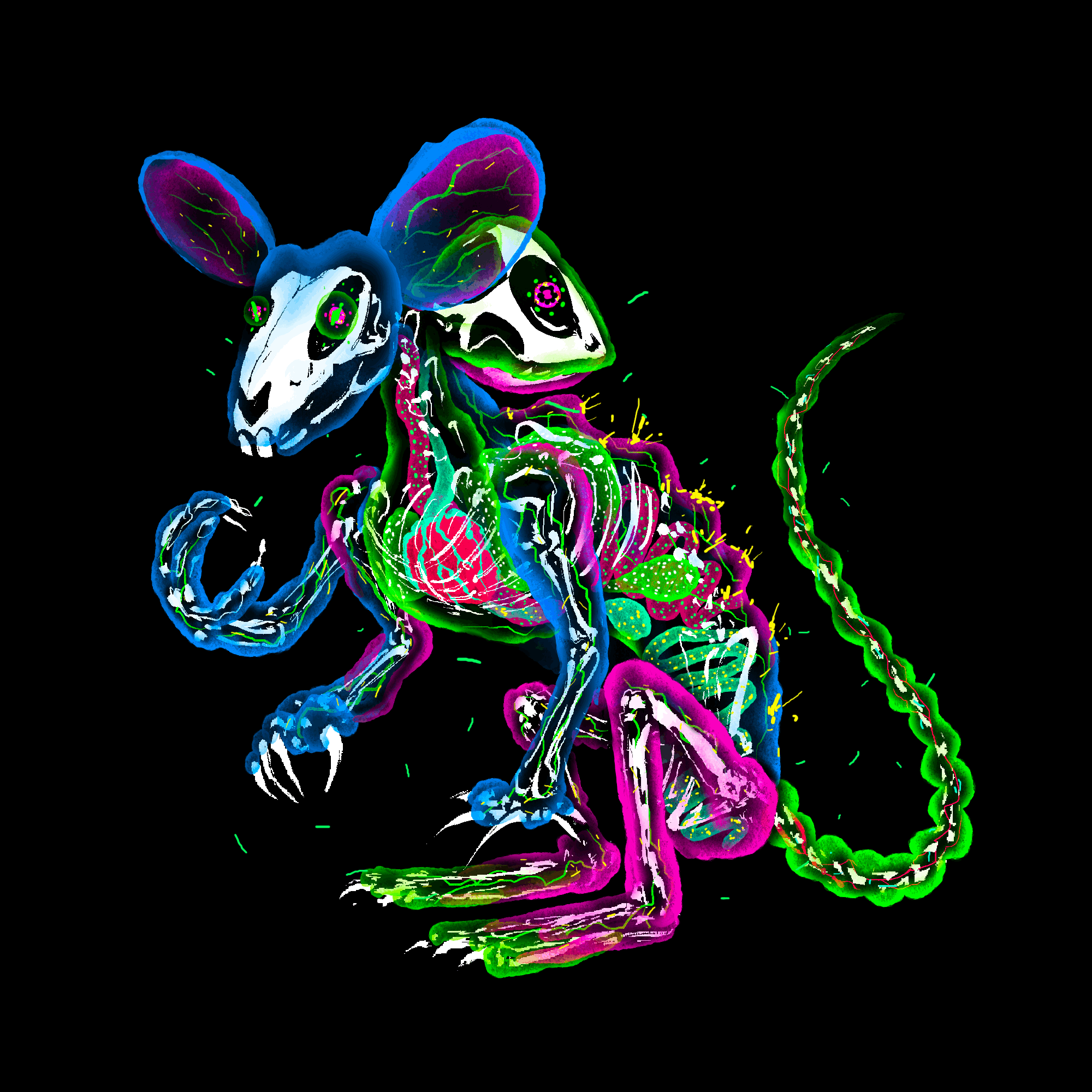 Deltex Rat