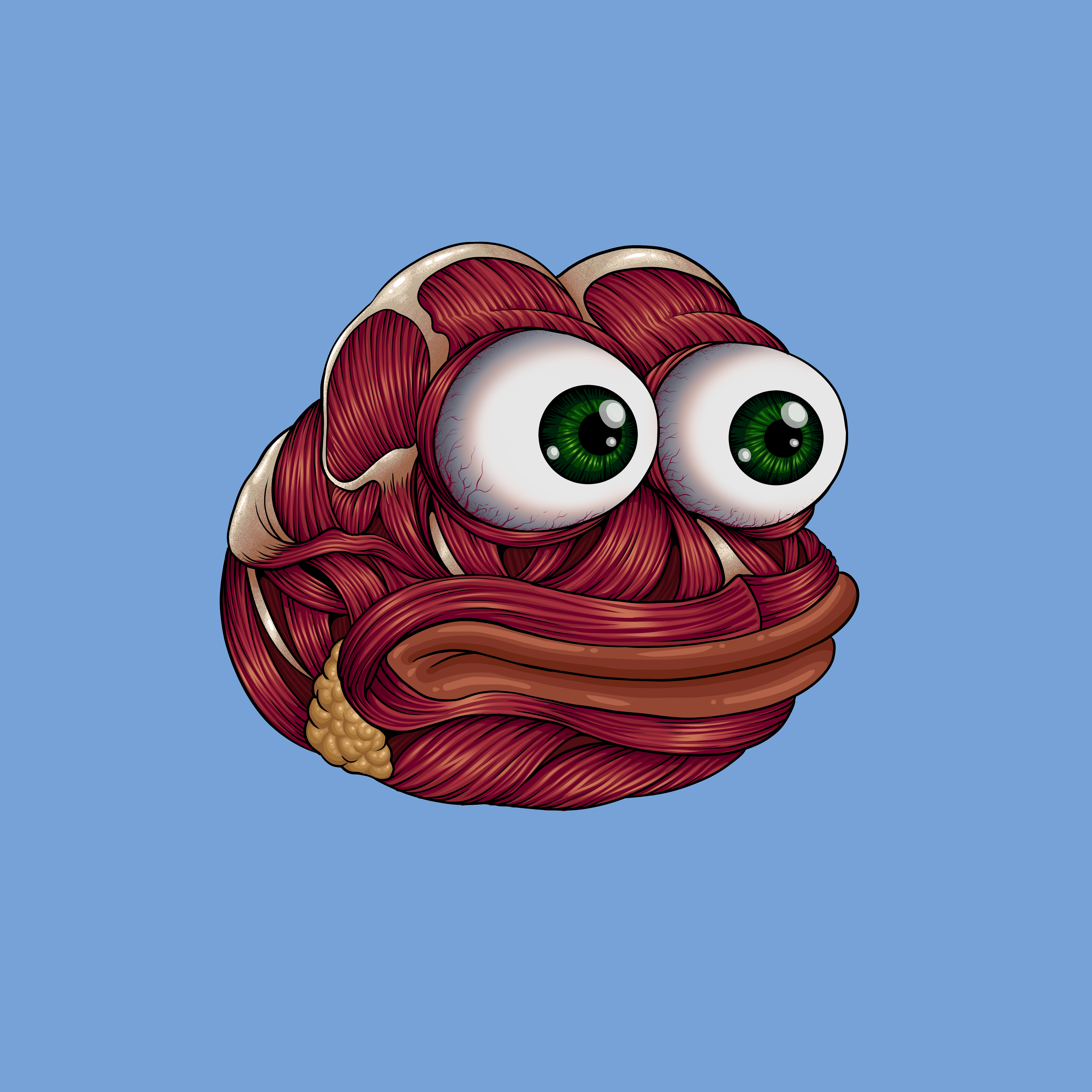 Pepe Muscular System