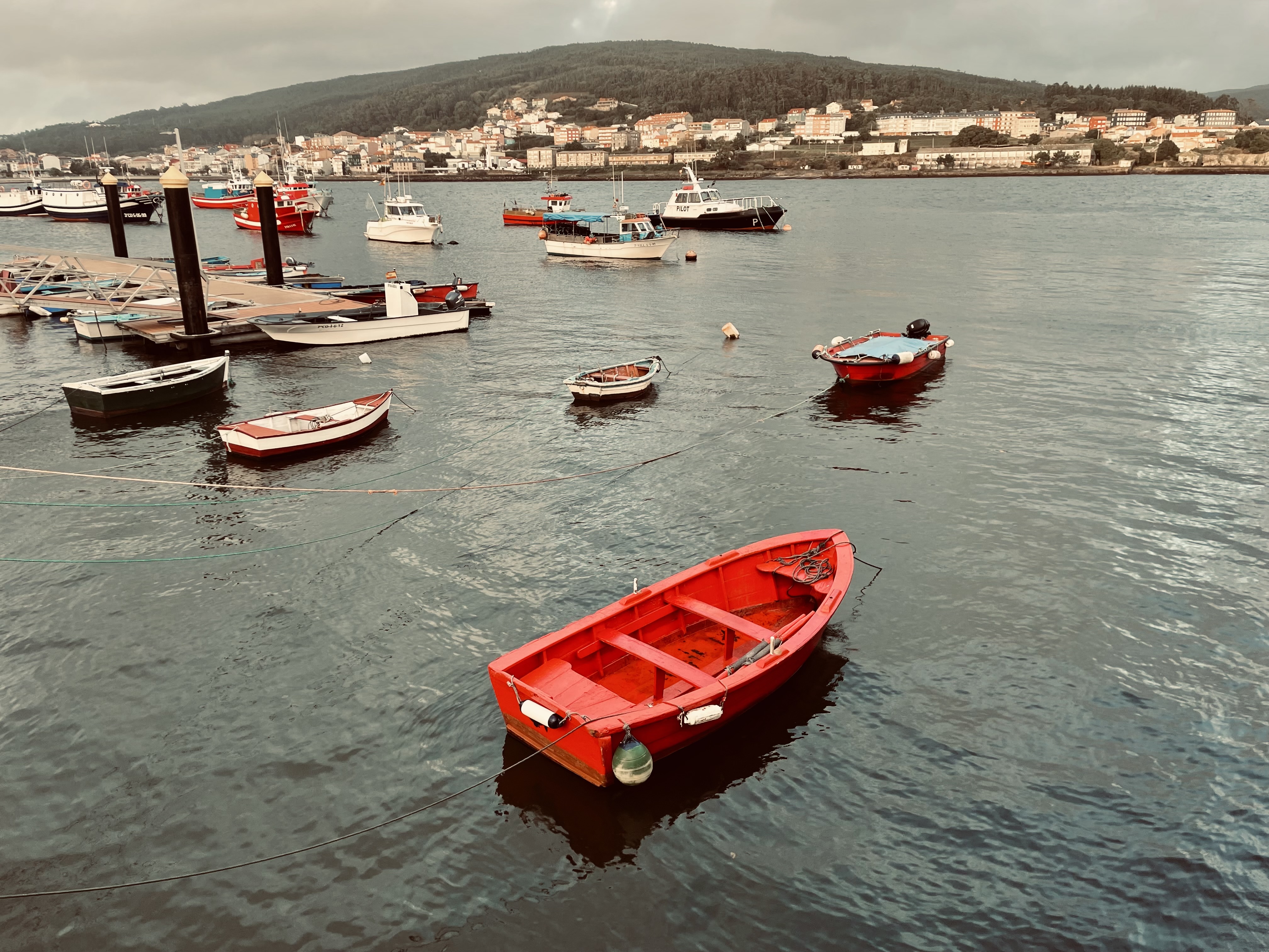 🛶