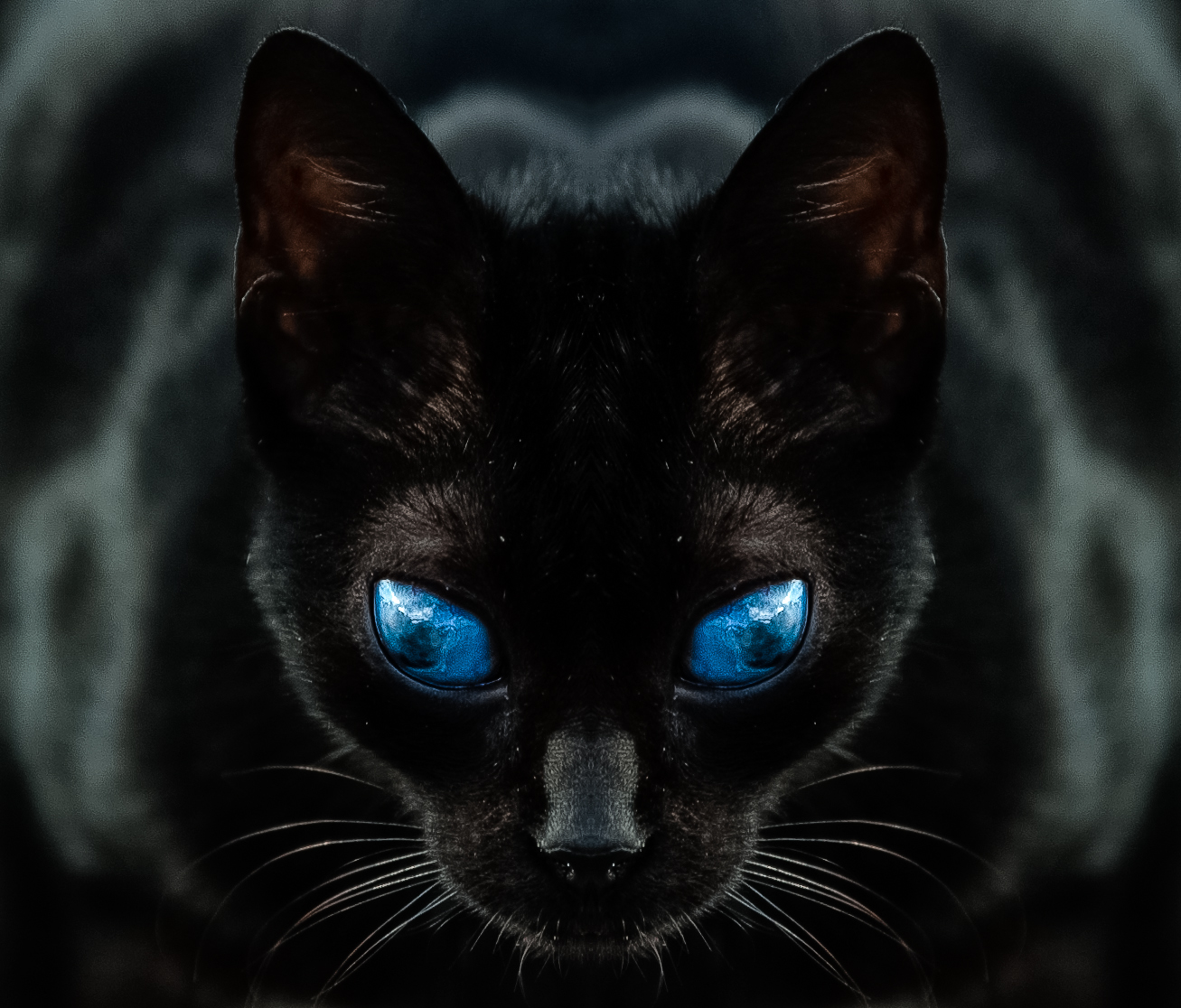 Blind Survivor...