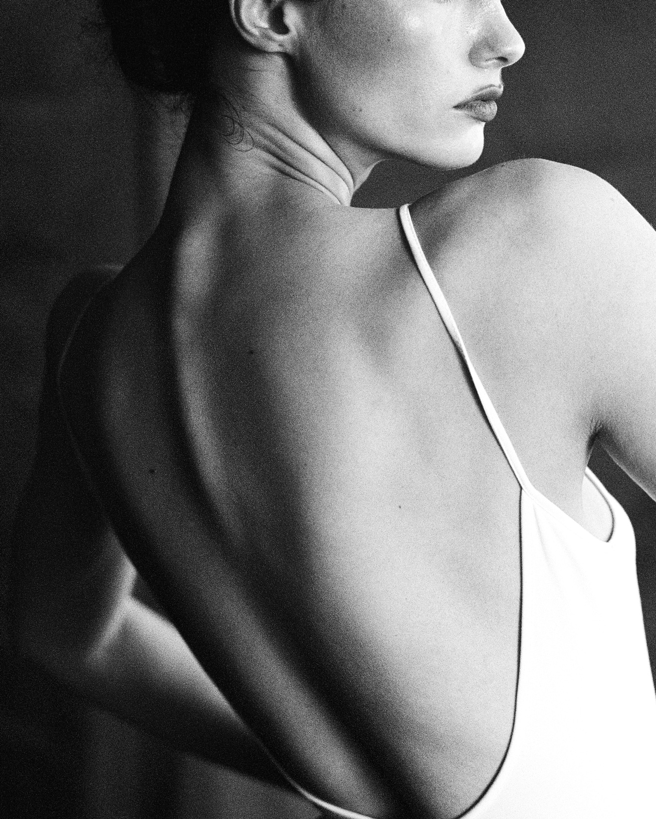 Spine