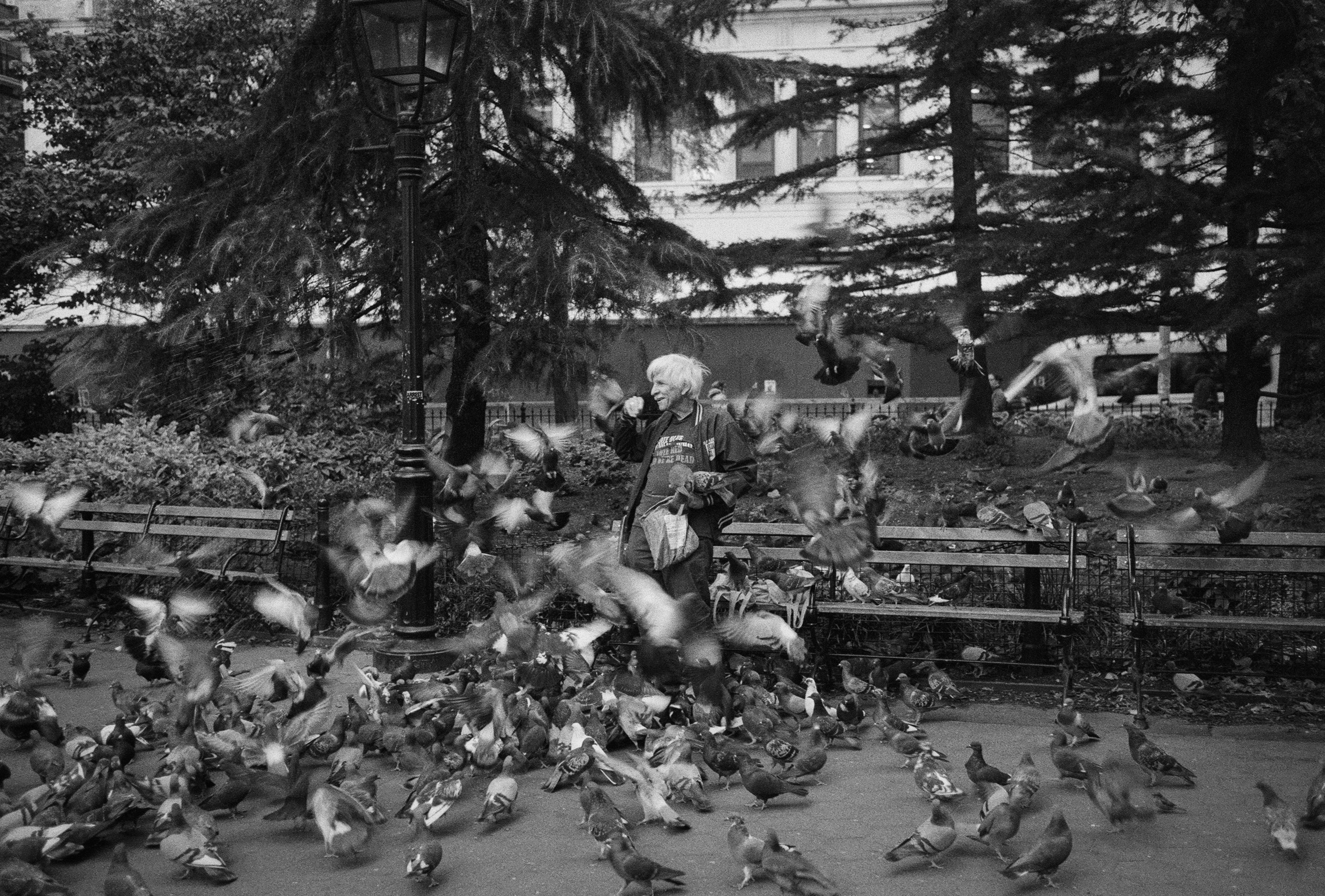 Birdman