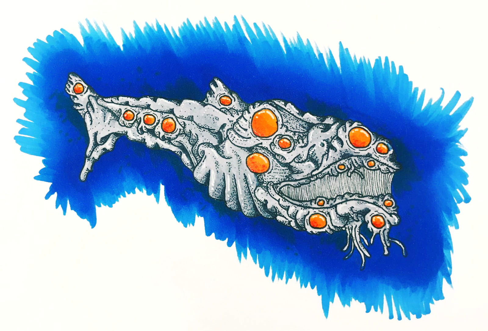 Portrait of a Whale