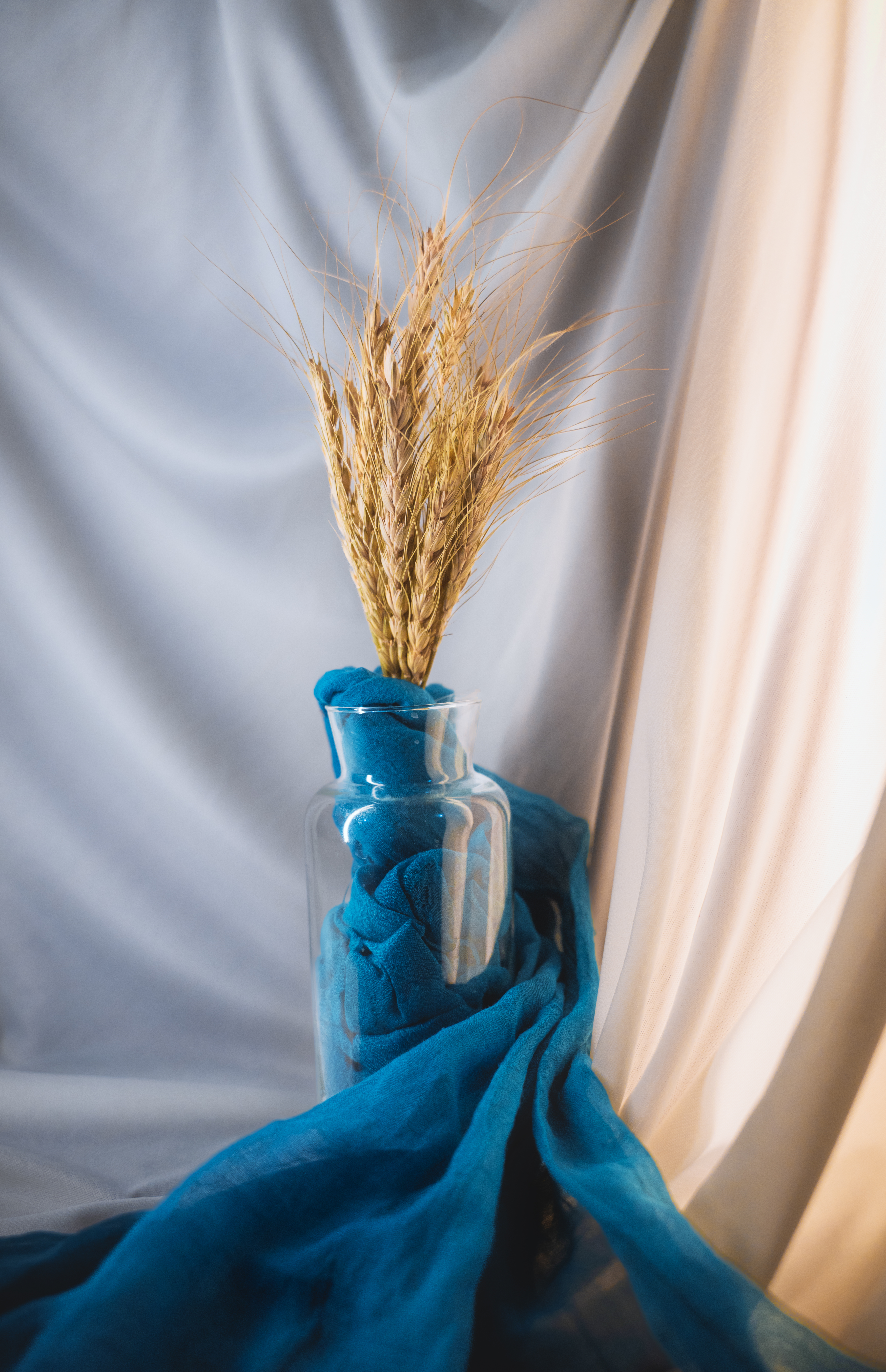wheat- #13