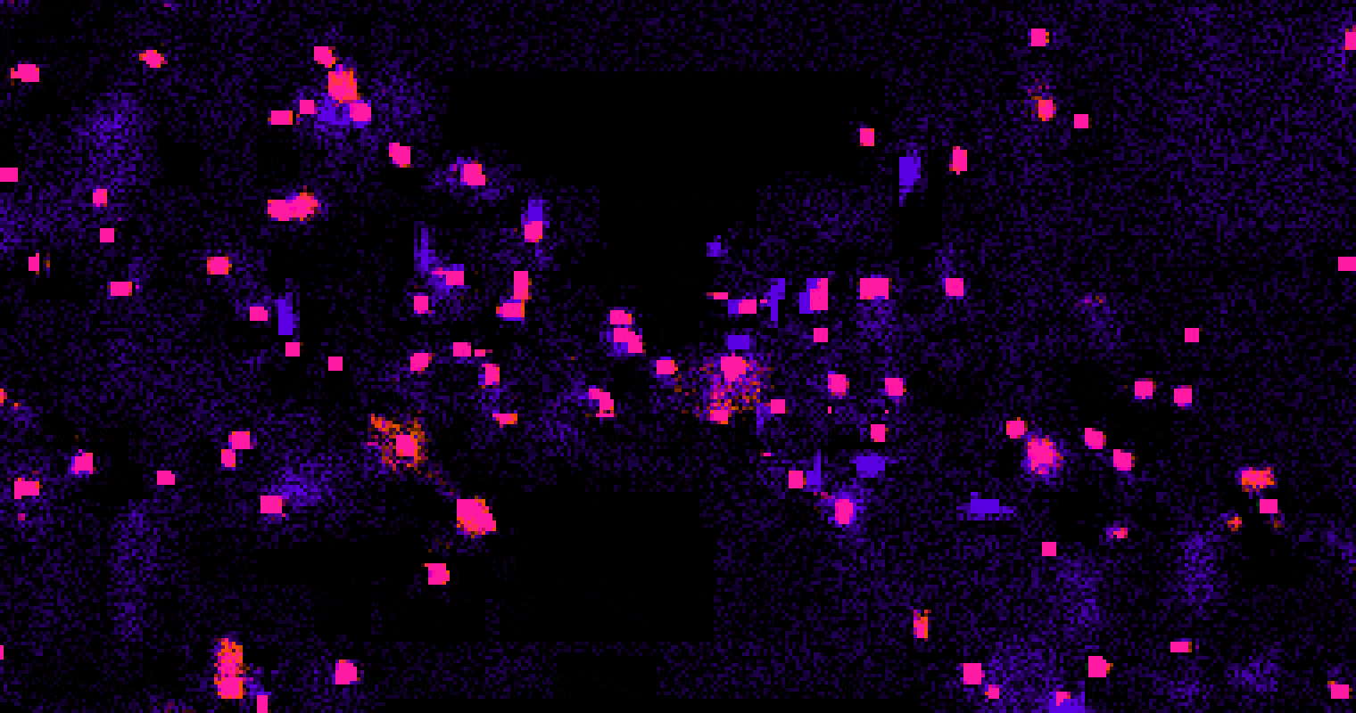 1000 DEGEN bits