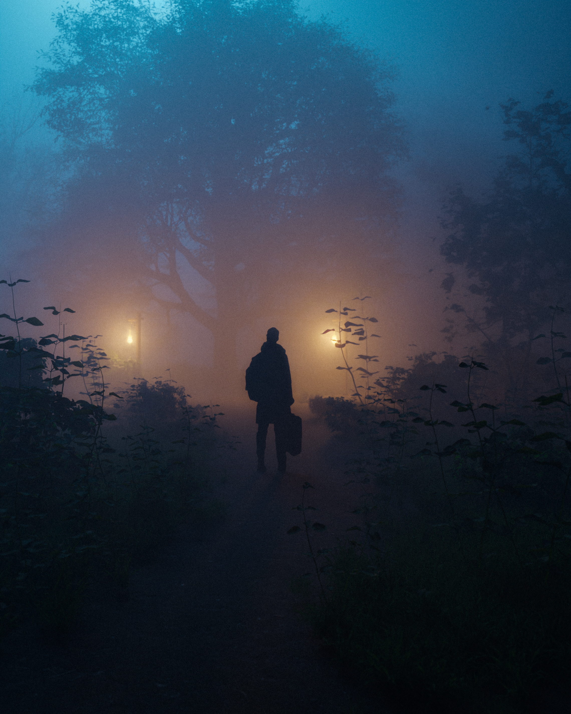 The night