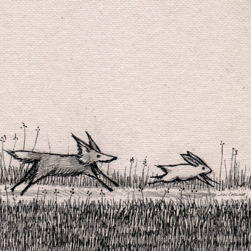 'Fox and Rabbit' #37