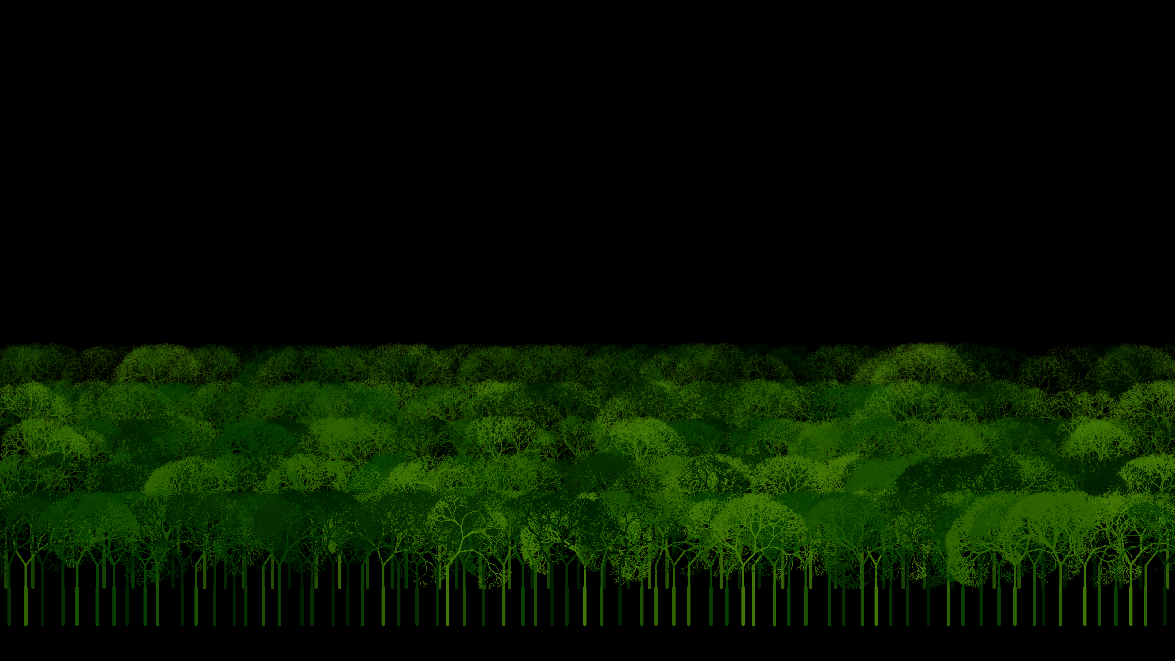 basedFOREST 53
