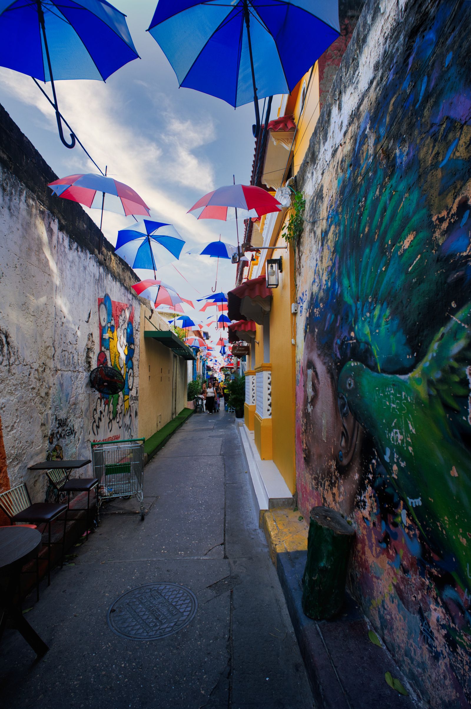 Umbrellas Street #3
