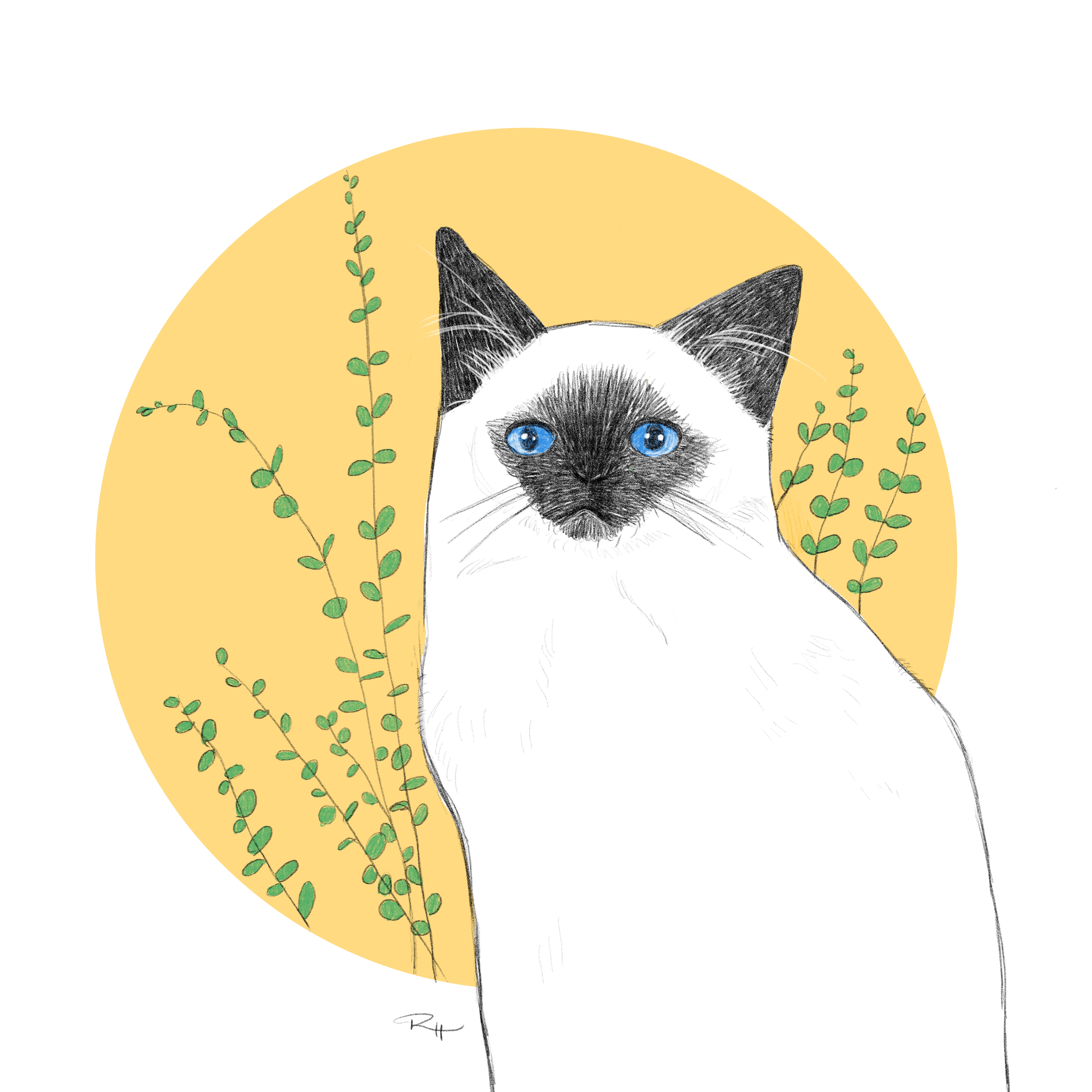 Calm