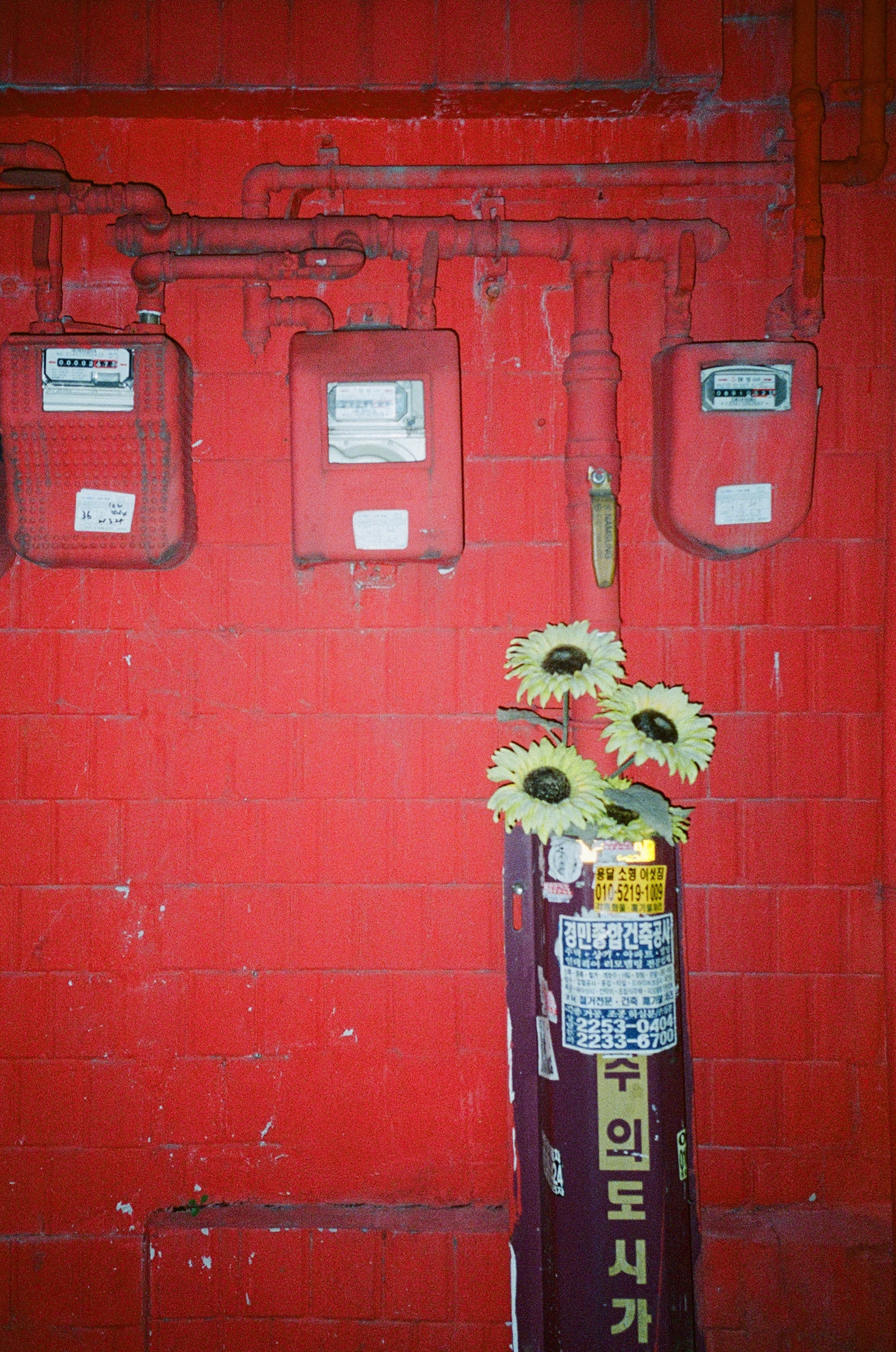 Still Life