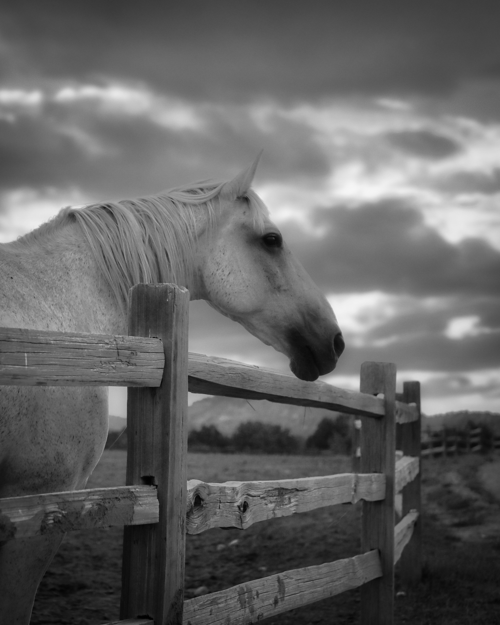 Quiet Moment #1