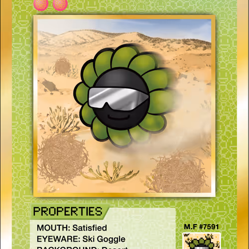 Desert SP-185 EN
