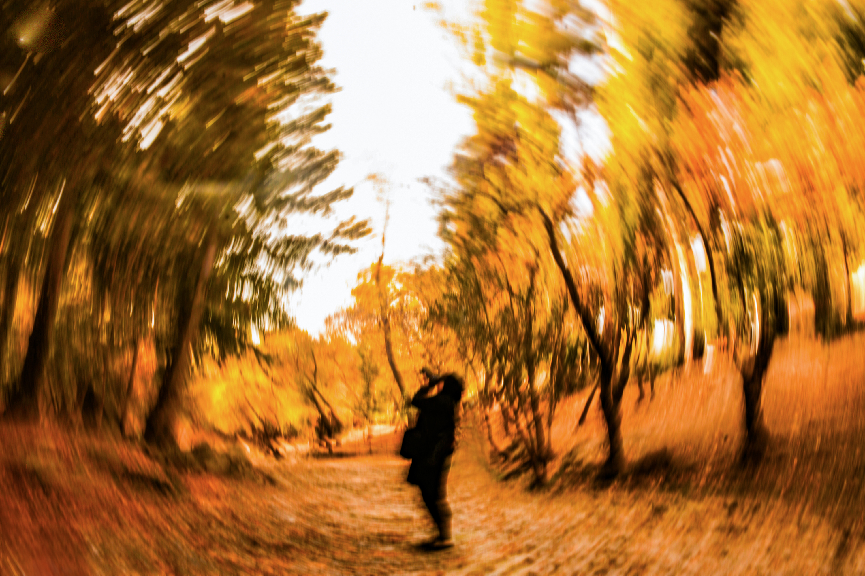 Welcome, autumn!  #281