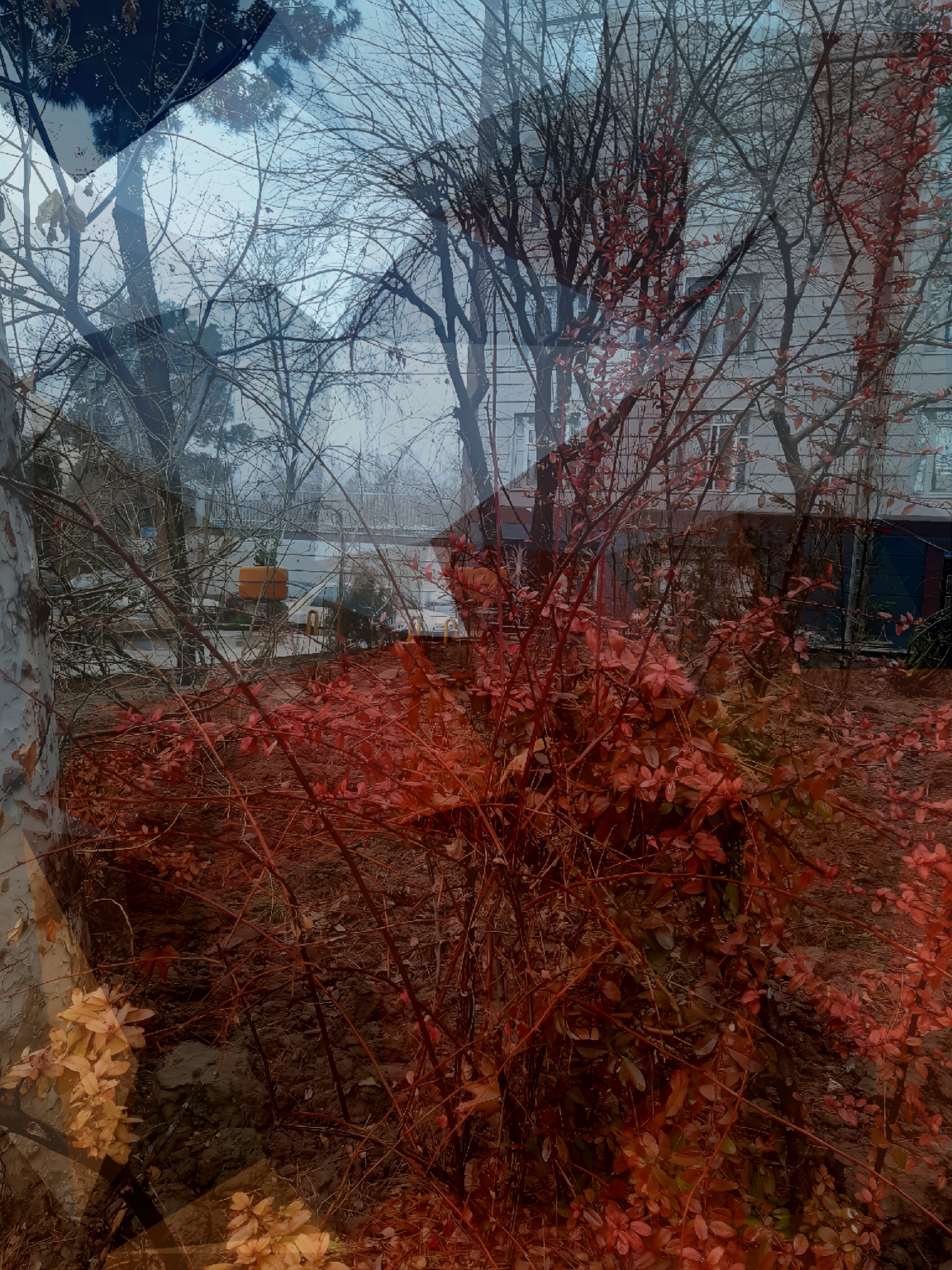altered reality #1