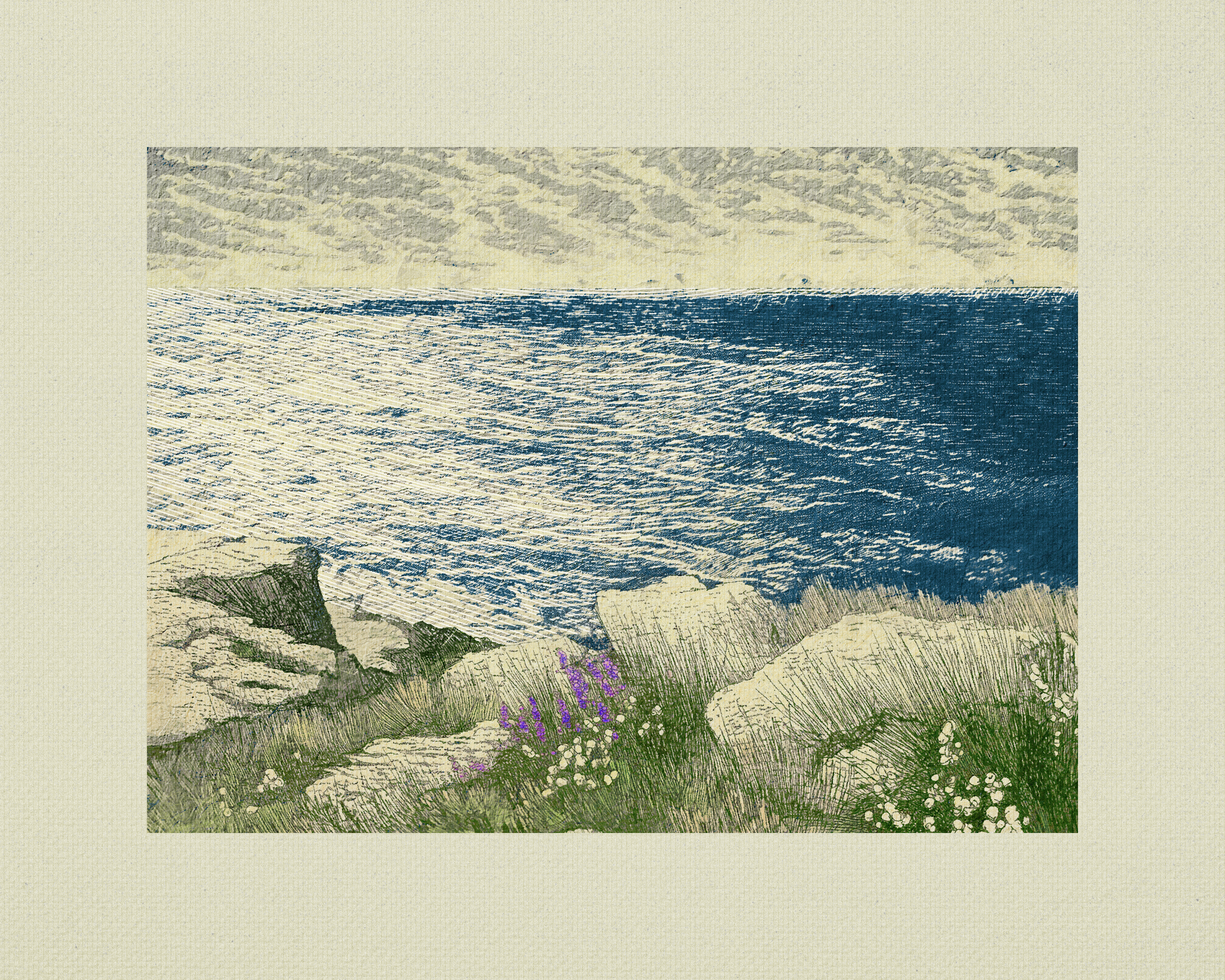 Coast #31