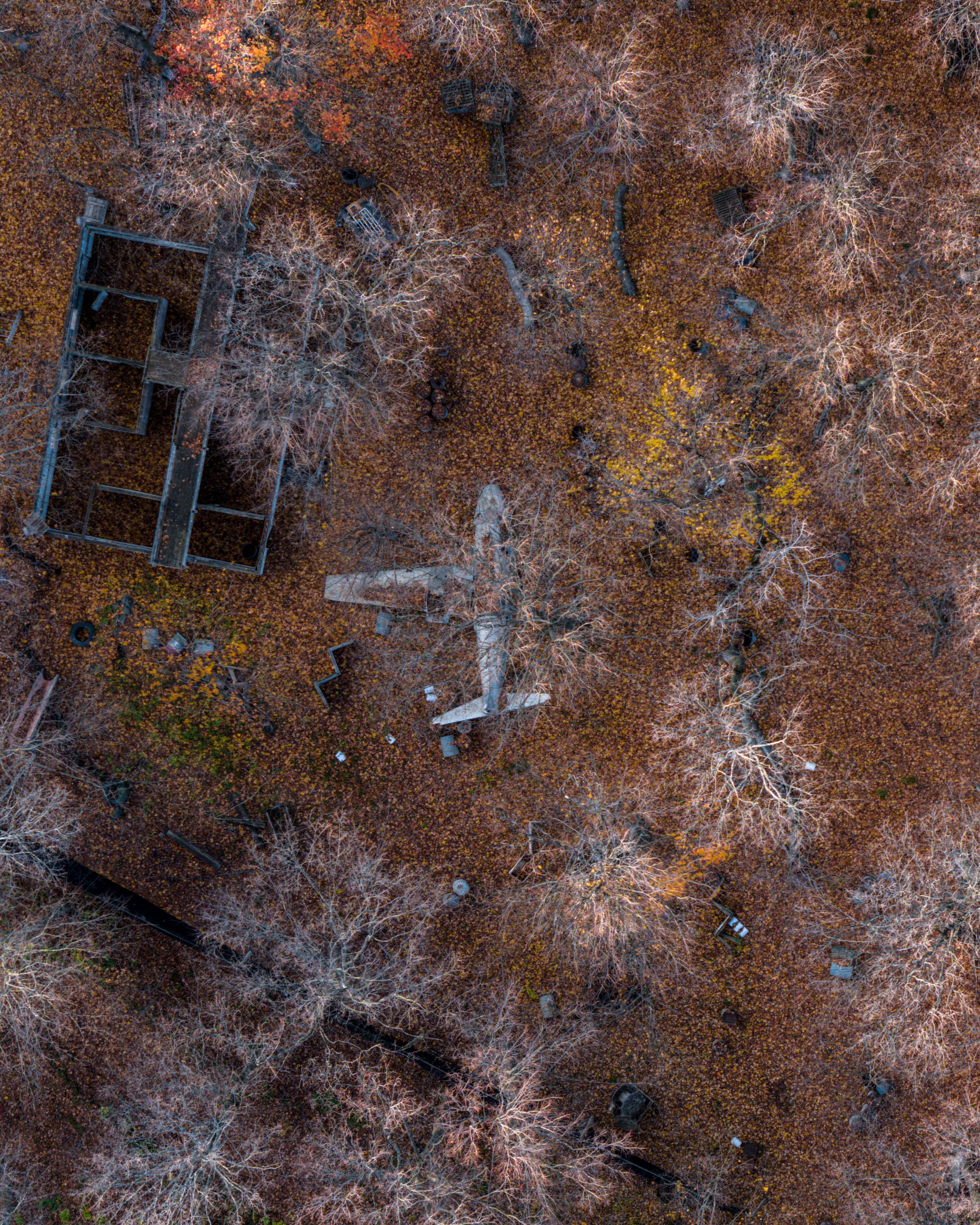 Crash Landing