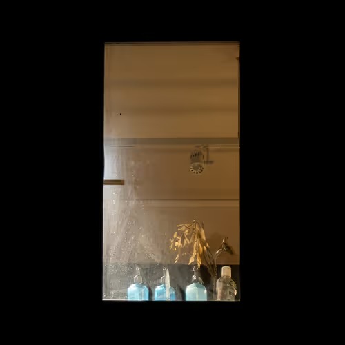 WINDOW #9