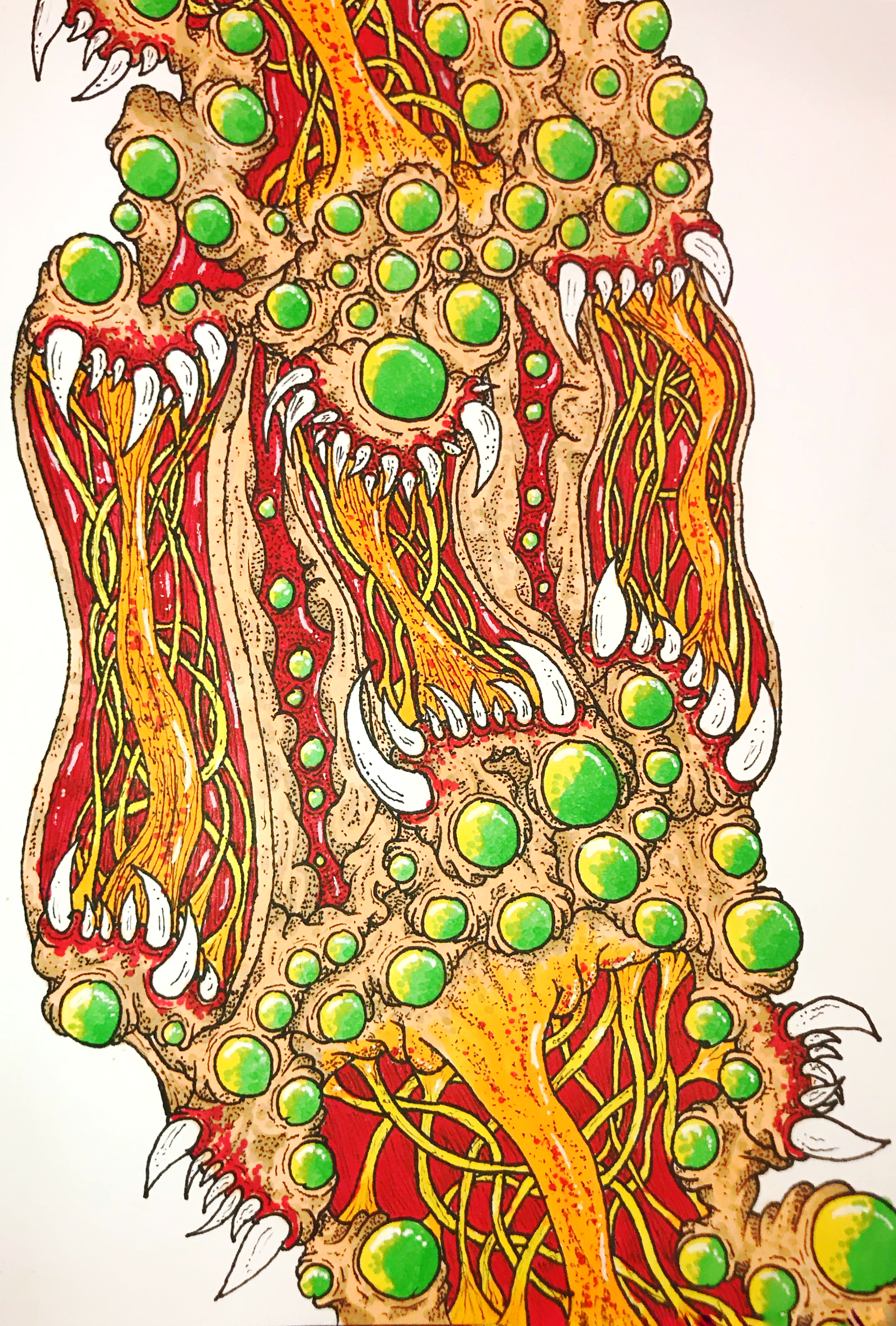 Roots