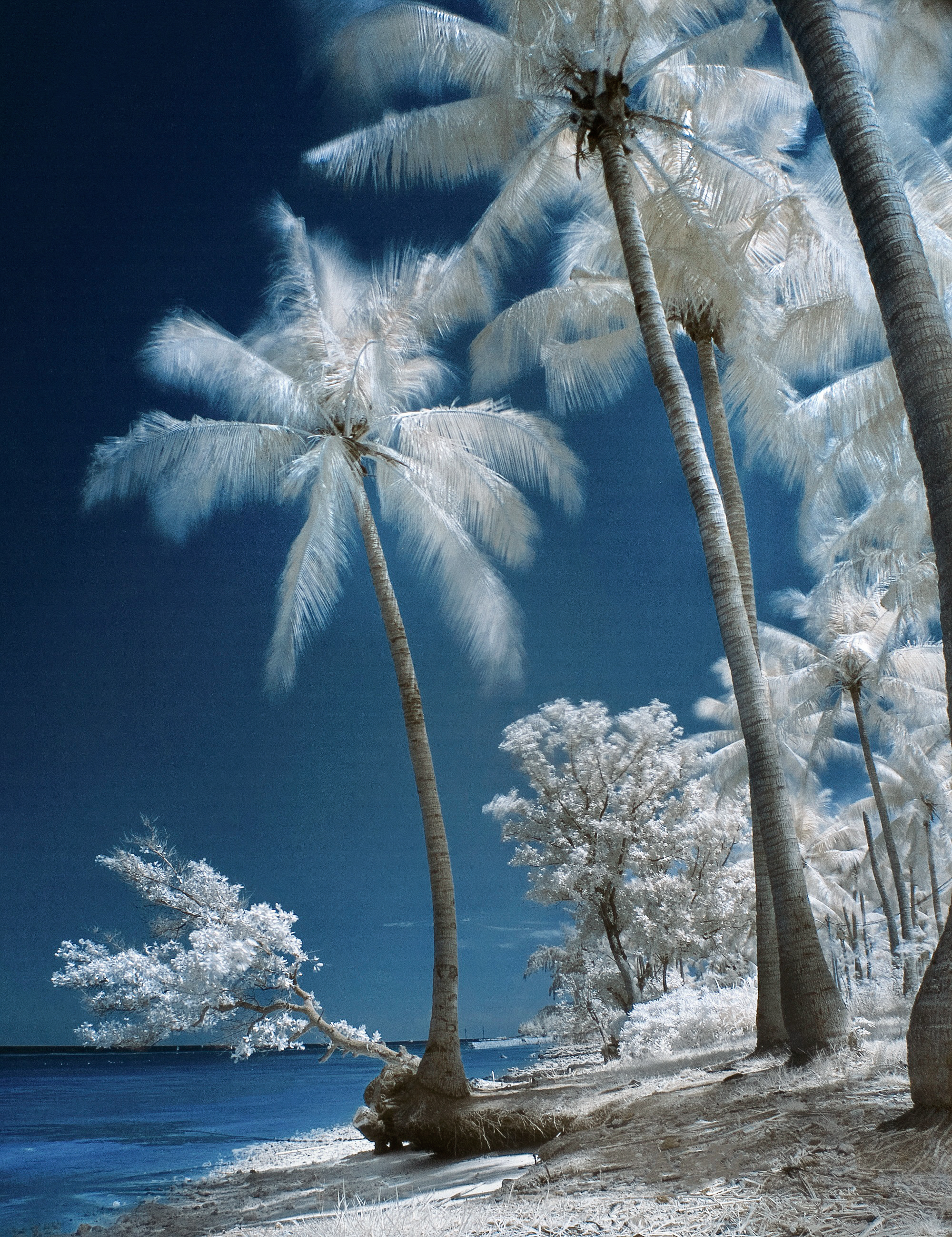 Untitled #IR03