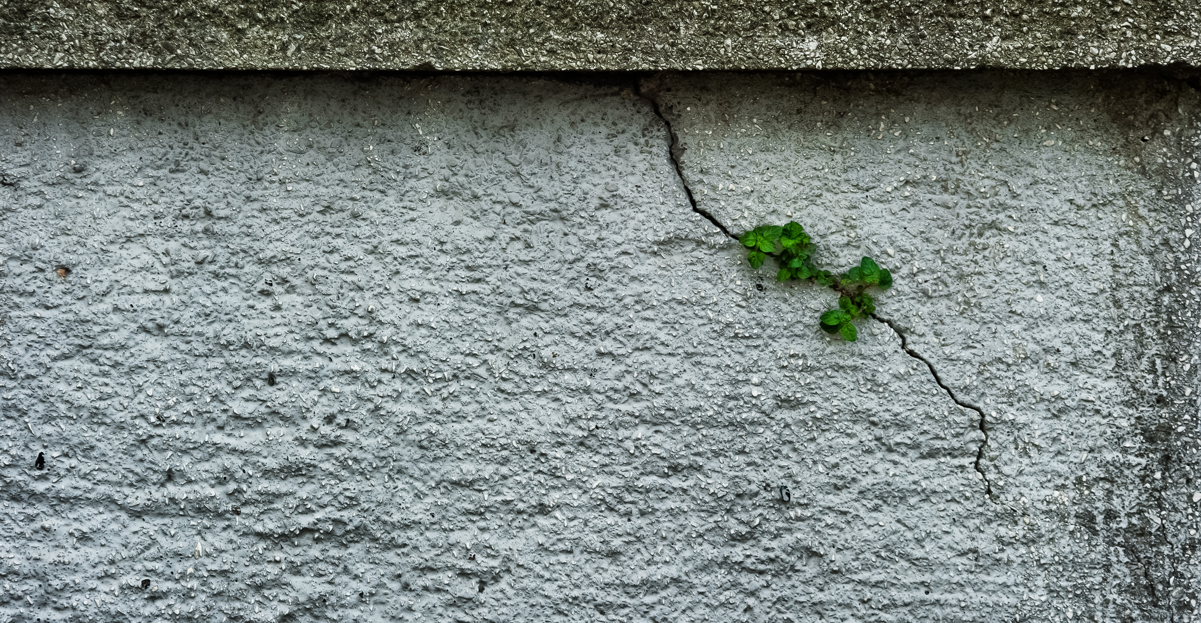 Glimmer of Hope