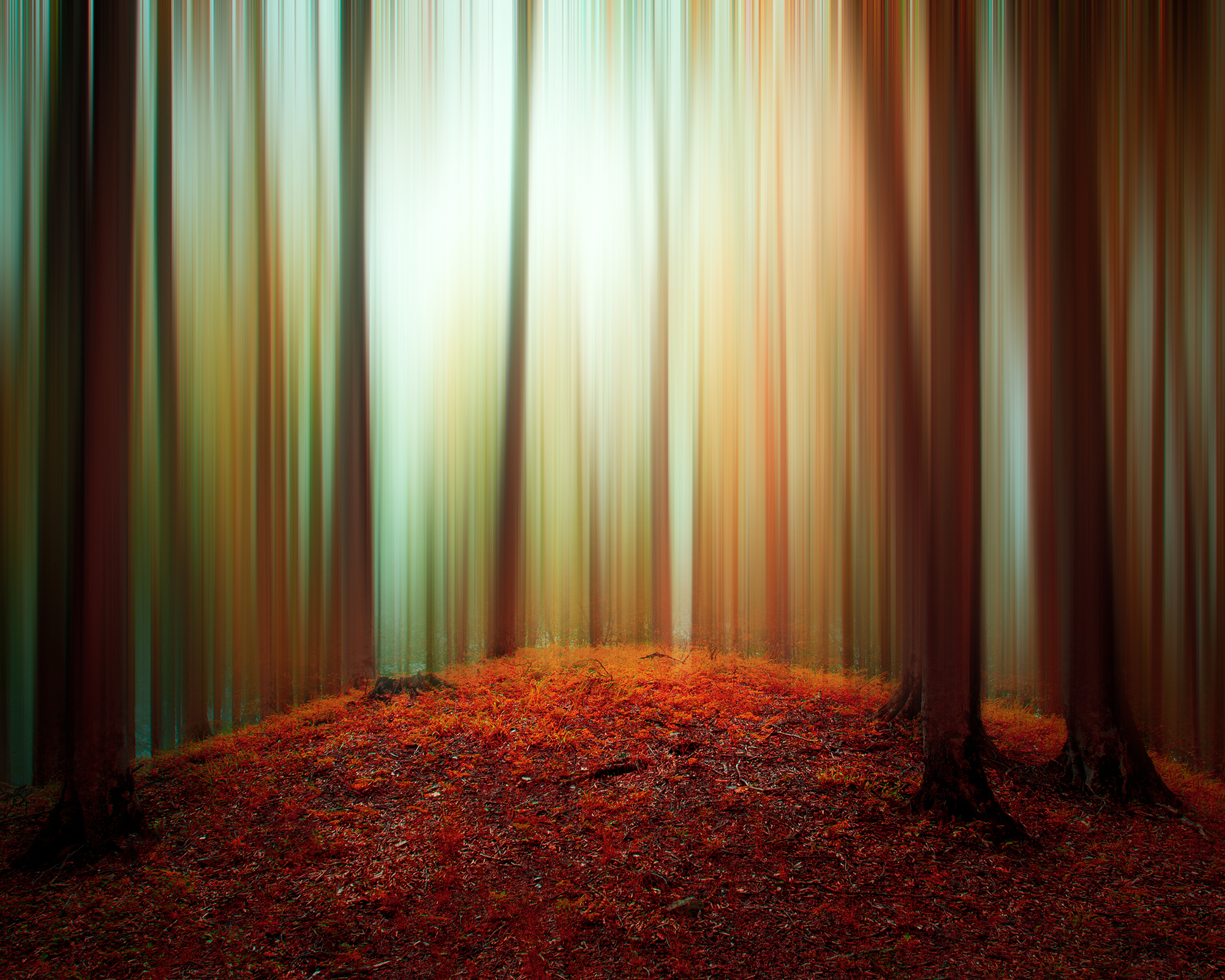 Into the Autumn Woods #18