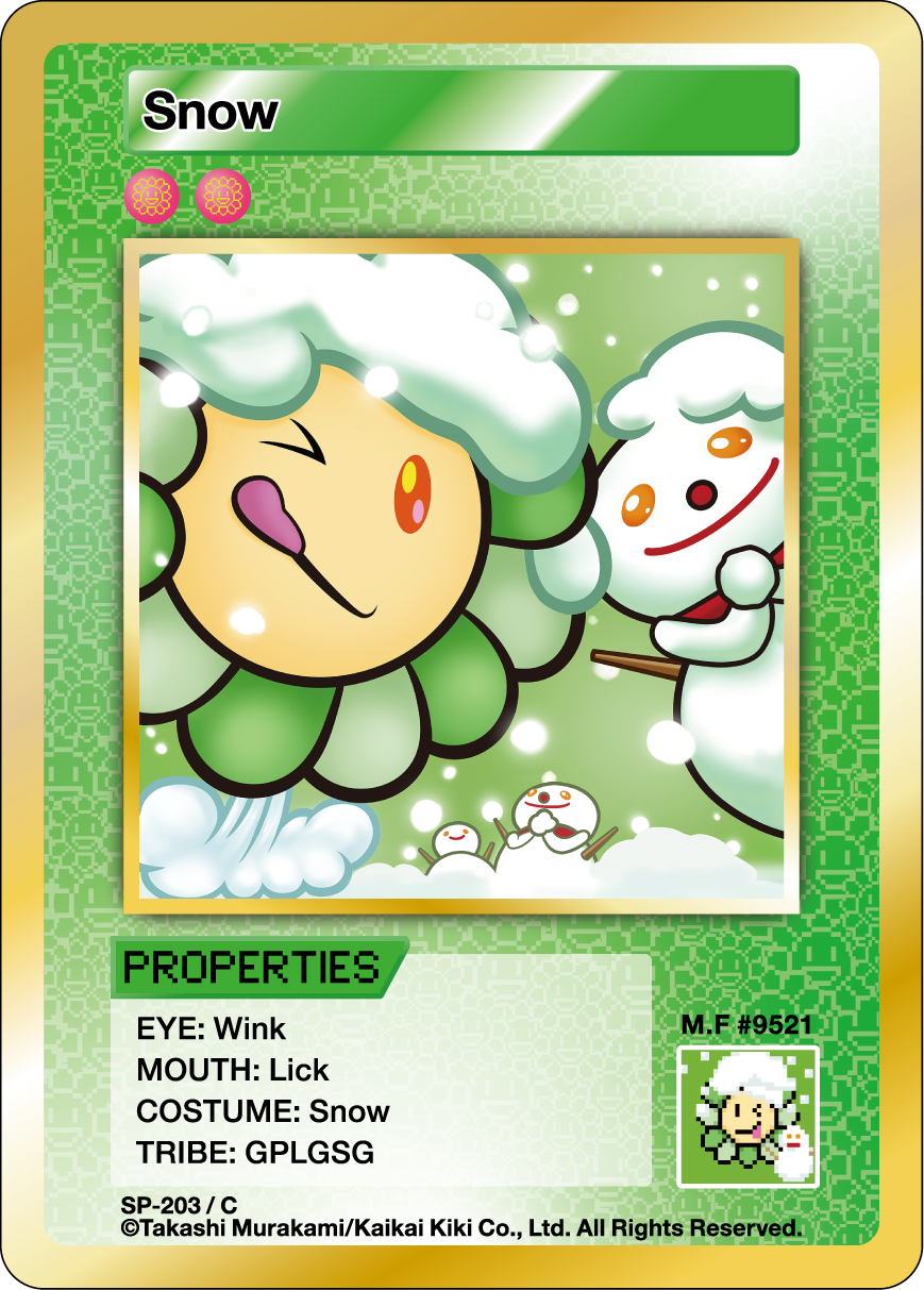 Snow SP-203 EN