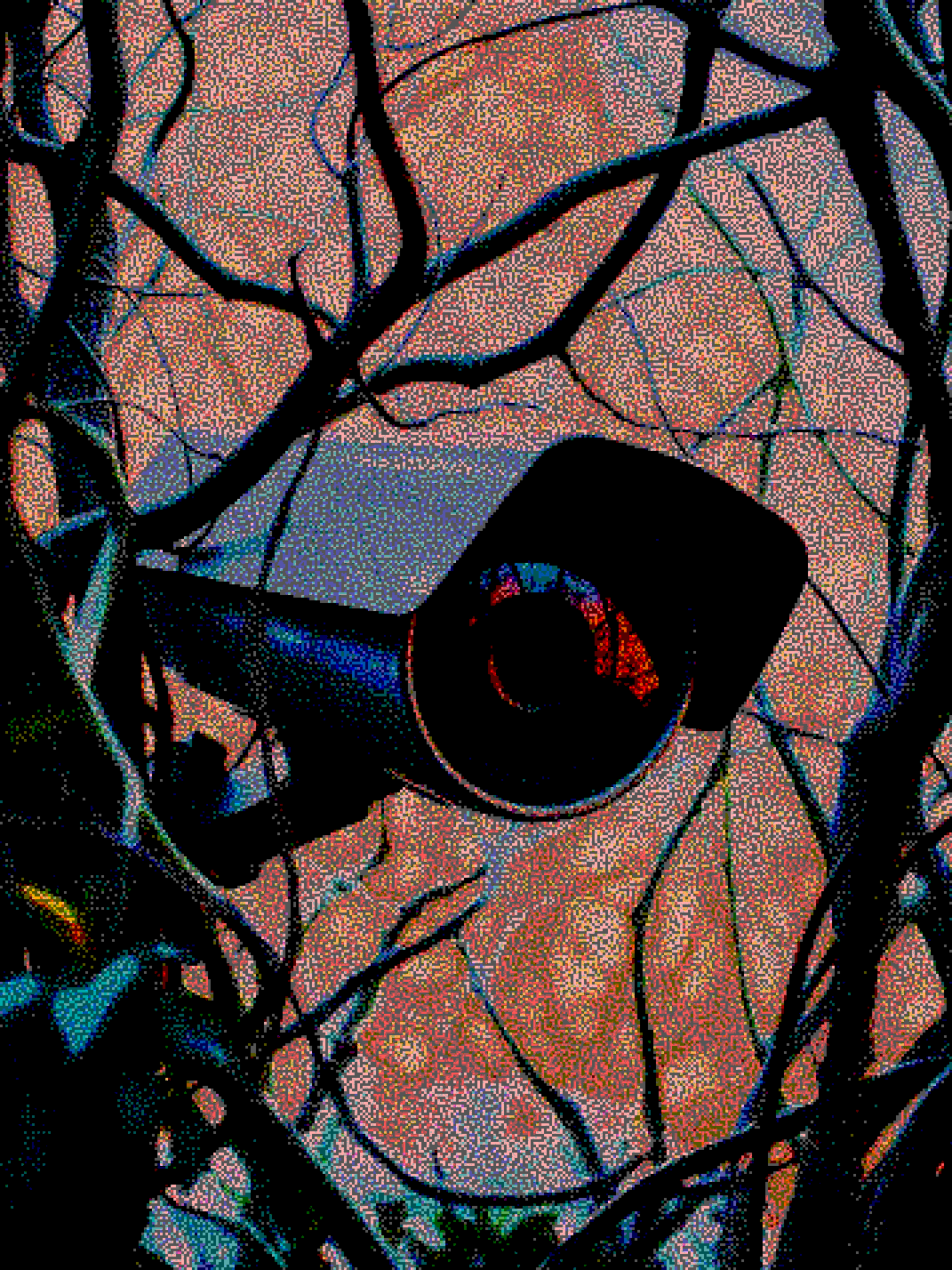 WATCHER