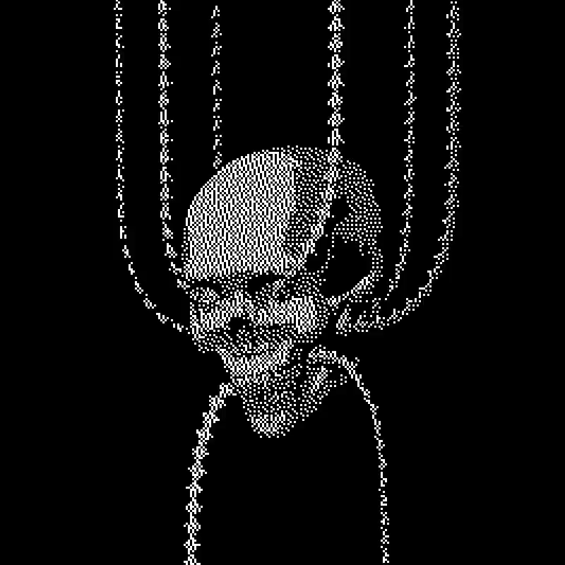 skull bones