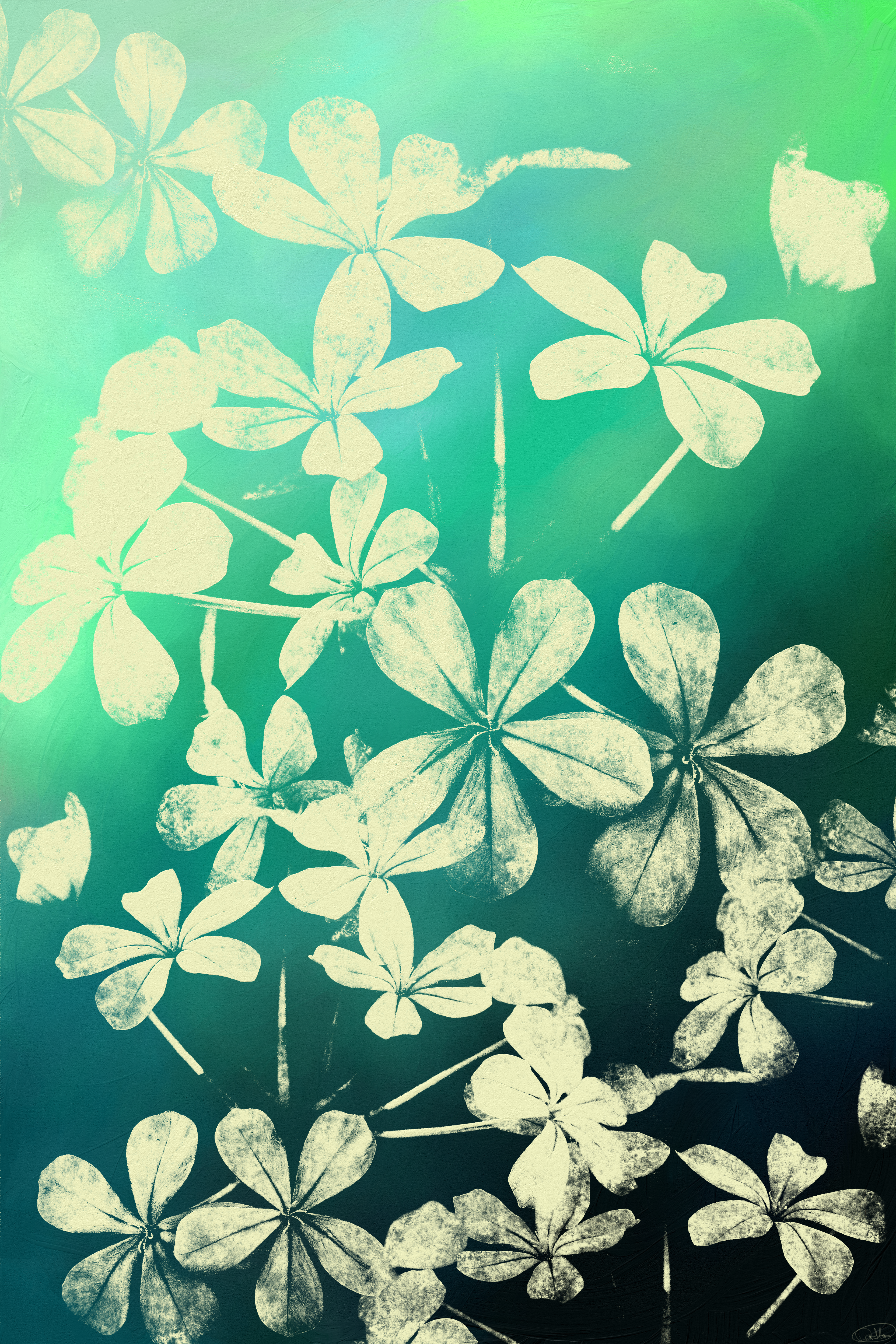 Plumbago #37